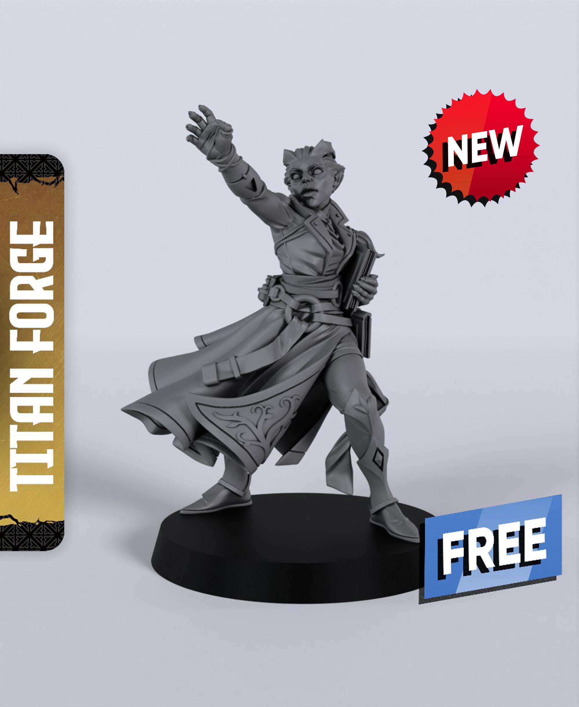 Tiefling Female Sorcerer - With Free Dragon Warhammer - 5e DnD Inspired for RPG and Wargamers 3d model