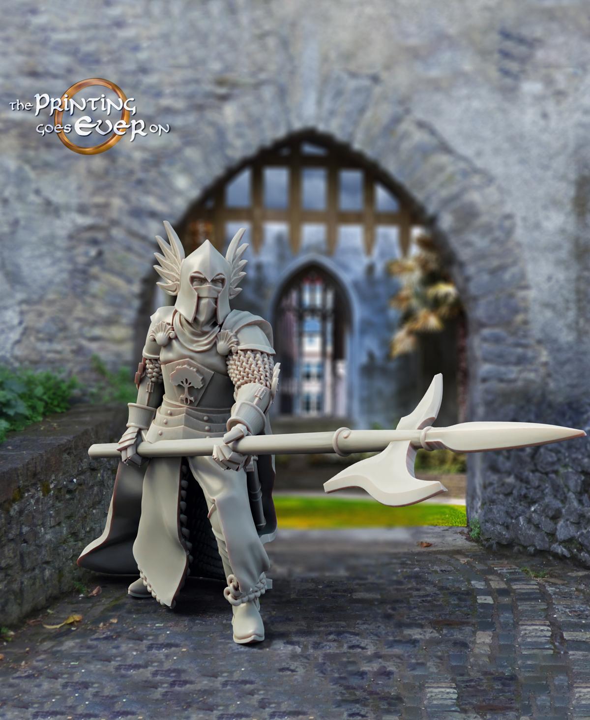 King's Guard - Pose A 3d model