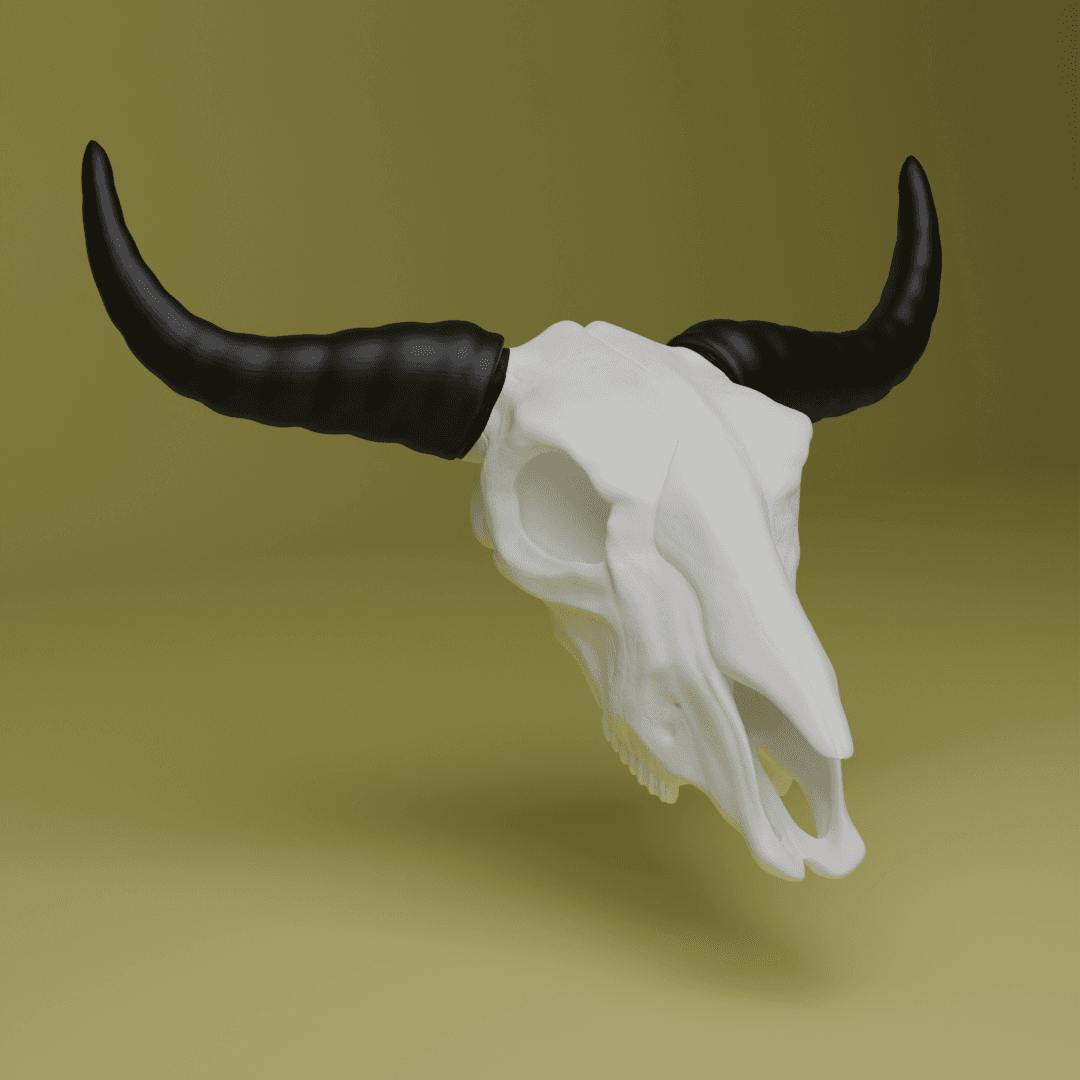 Bull Skull (MysticMesh3D) 3d model