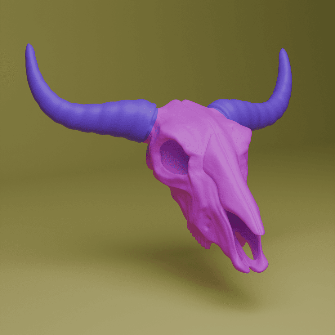 Bull Skull (MysticMesh3D) 3d model