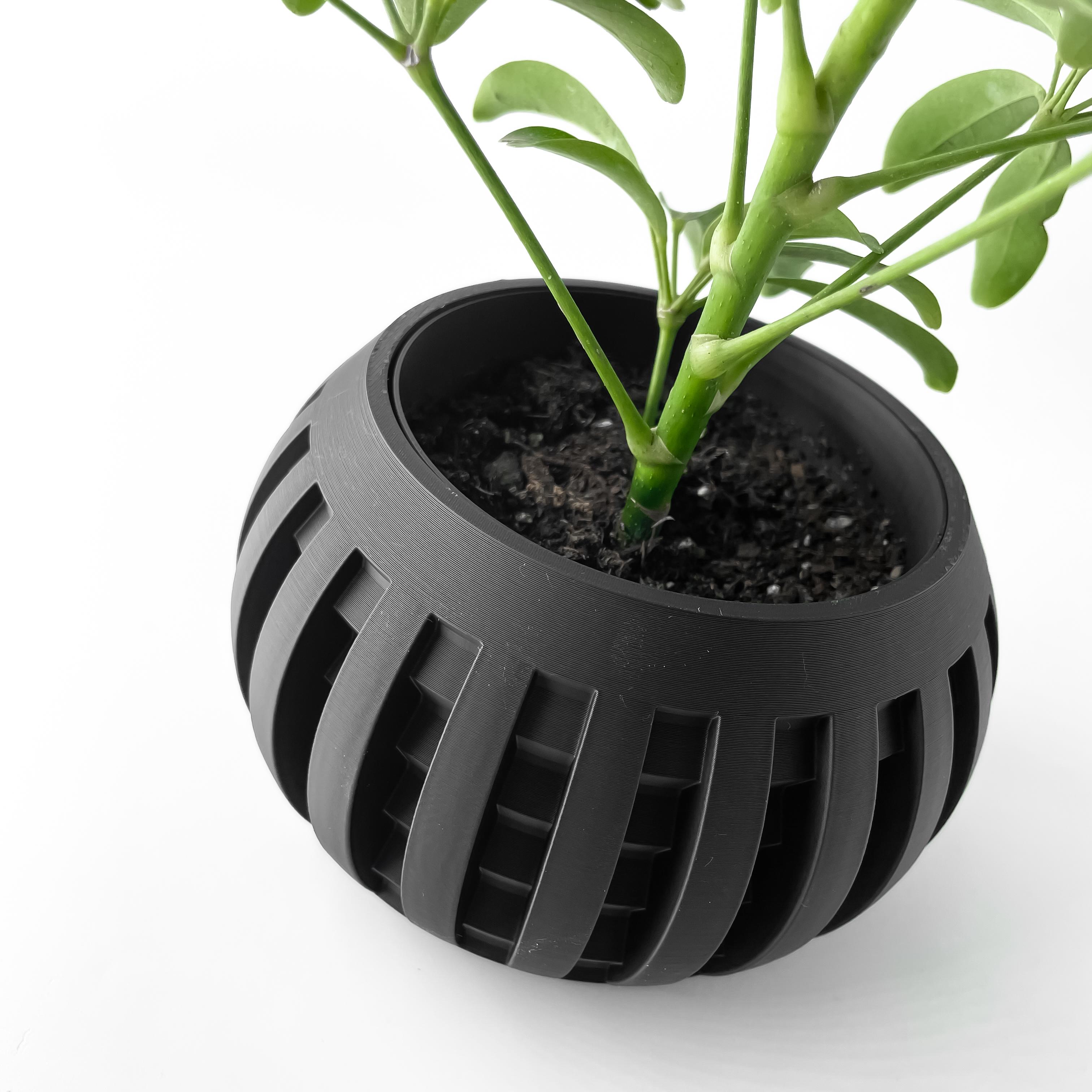 The Amada Planter Pot with Drainage Tray & Stand | Modern and Unique Home Decor for Plants 3d model
