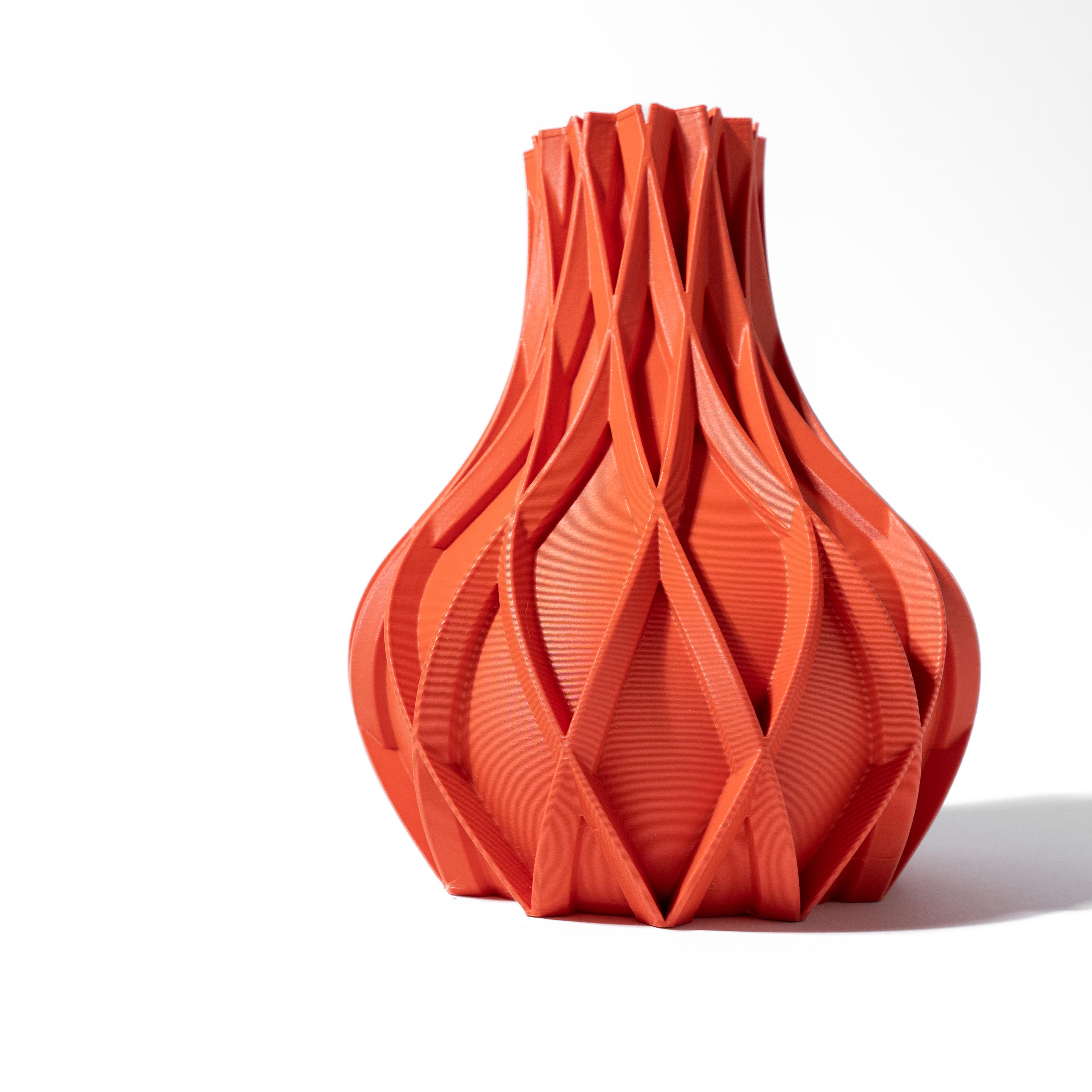 The Avio Vase, Modern and Unique Home Decor for Dried and Preserved Flower Arrangement  | STL File 3d model