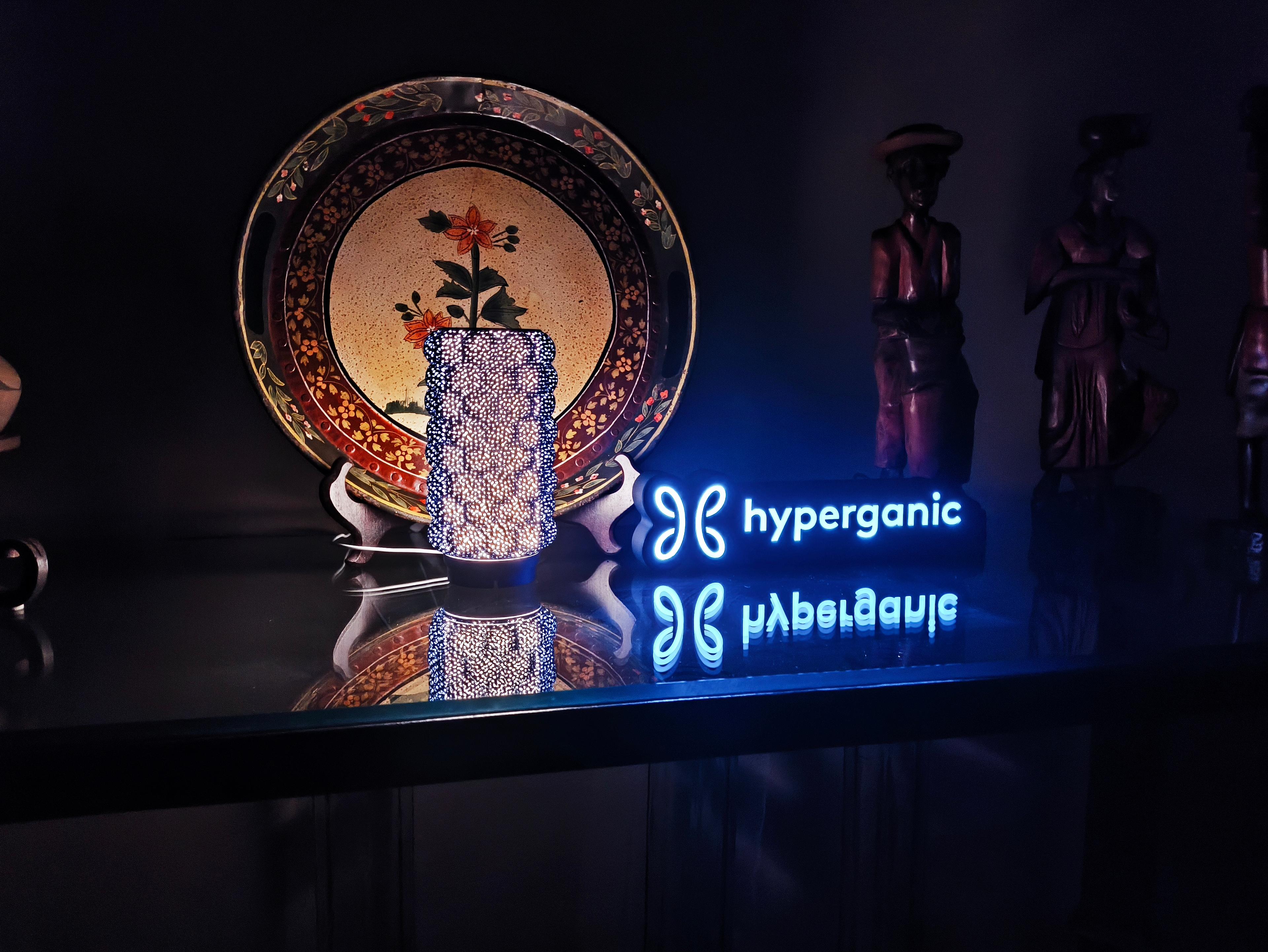 Hyperganic Lightbox LED Lamp 3d model