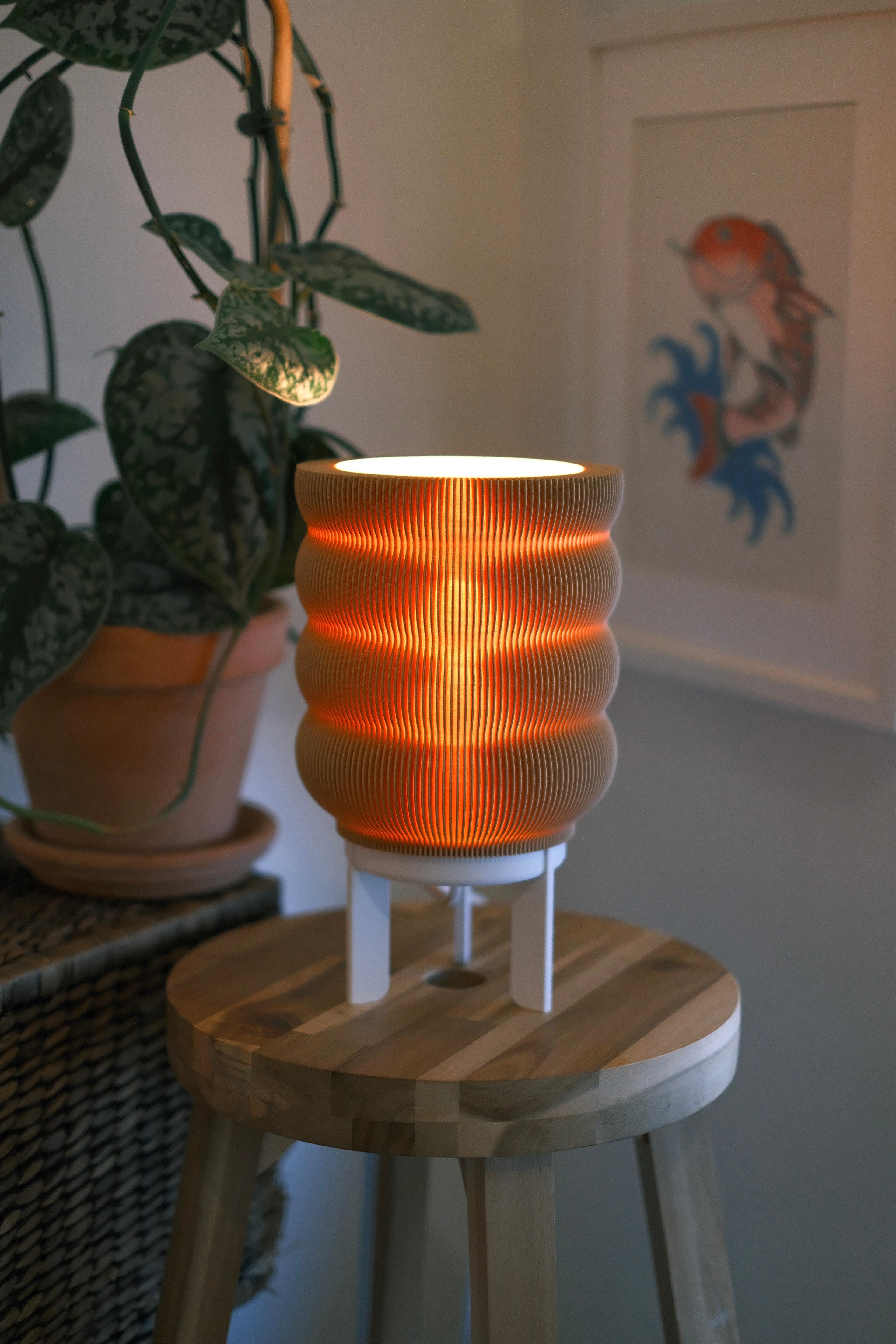 Orbitier Lamp Shade 3d model