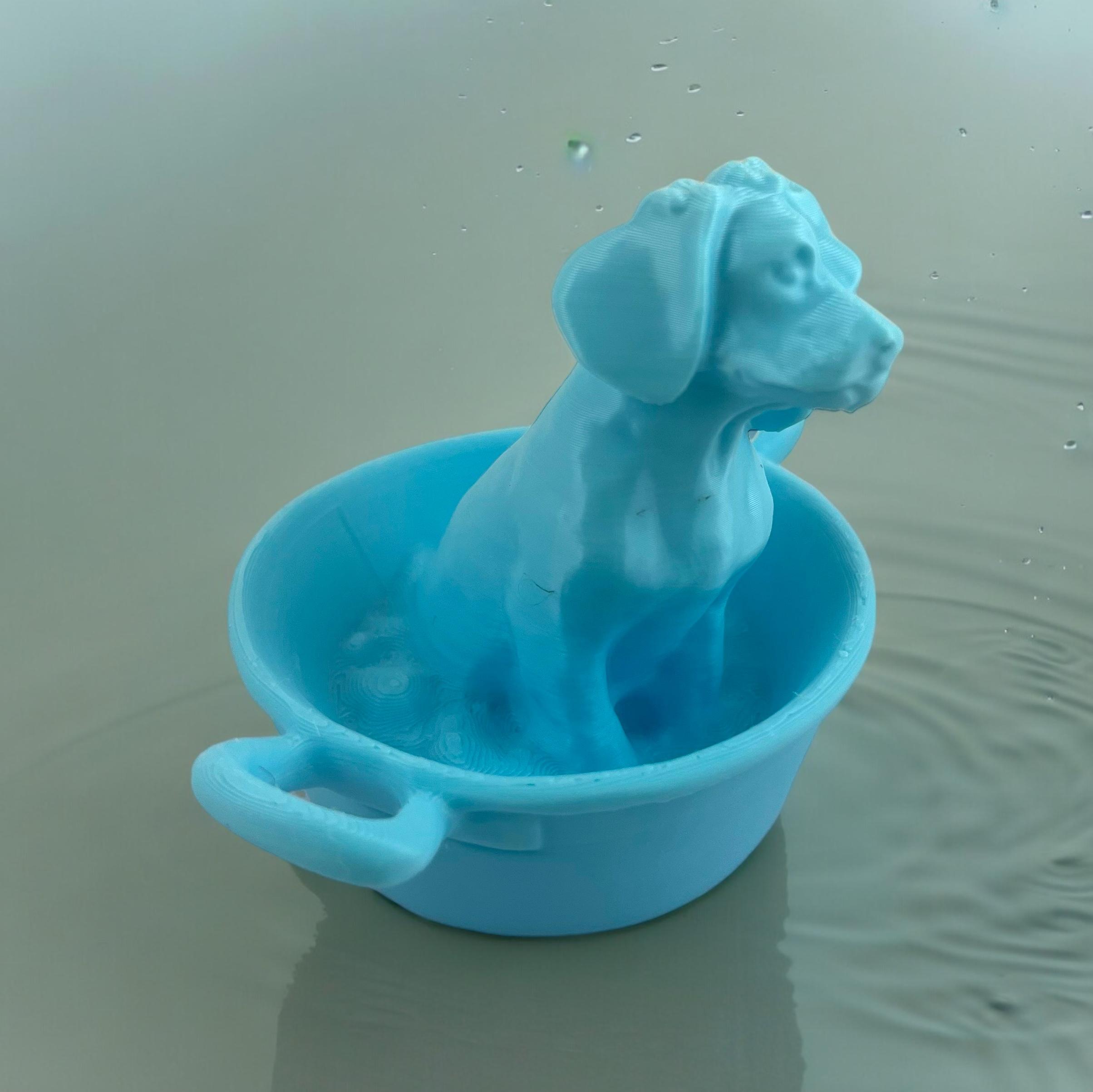 Dog takes a bath 3d model