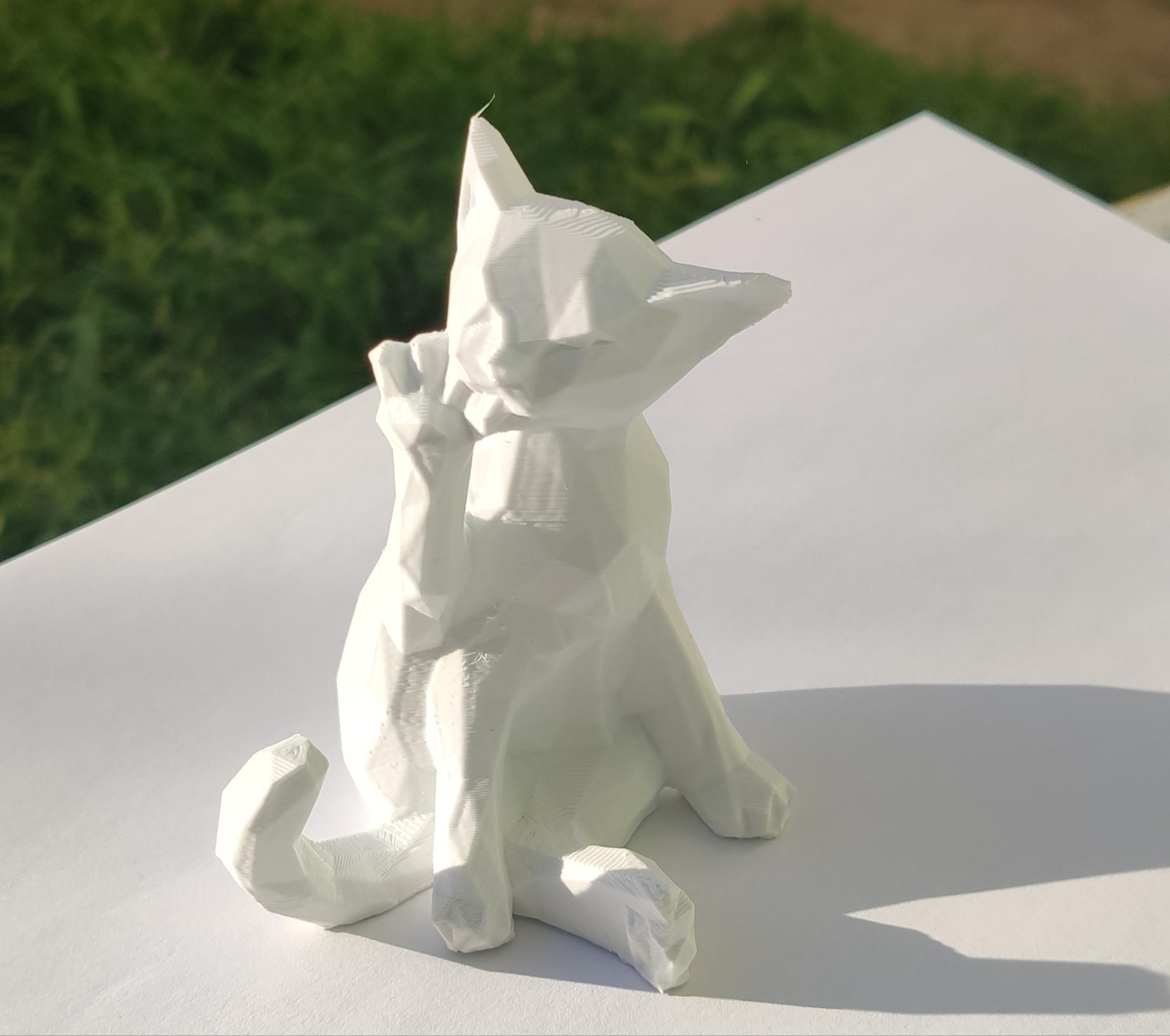 Cat Low Poly 3d model