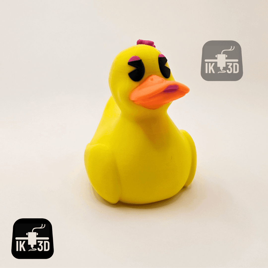 Ms. Duckman / 3MF Included / No Supports 3d model