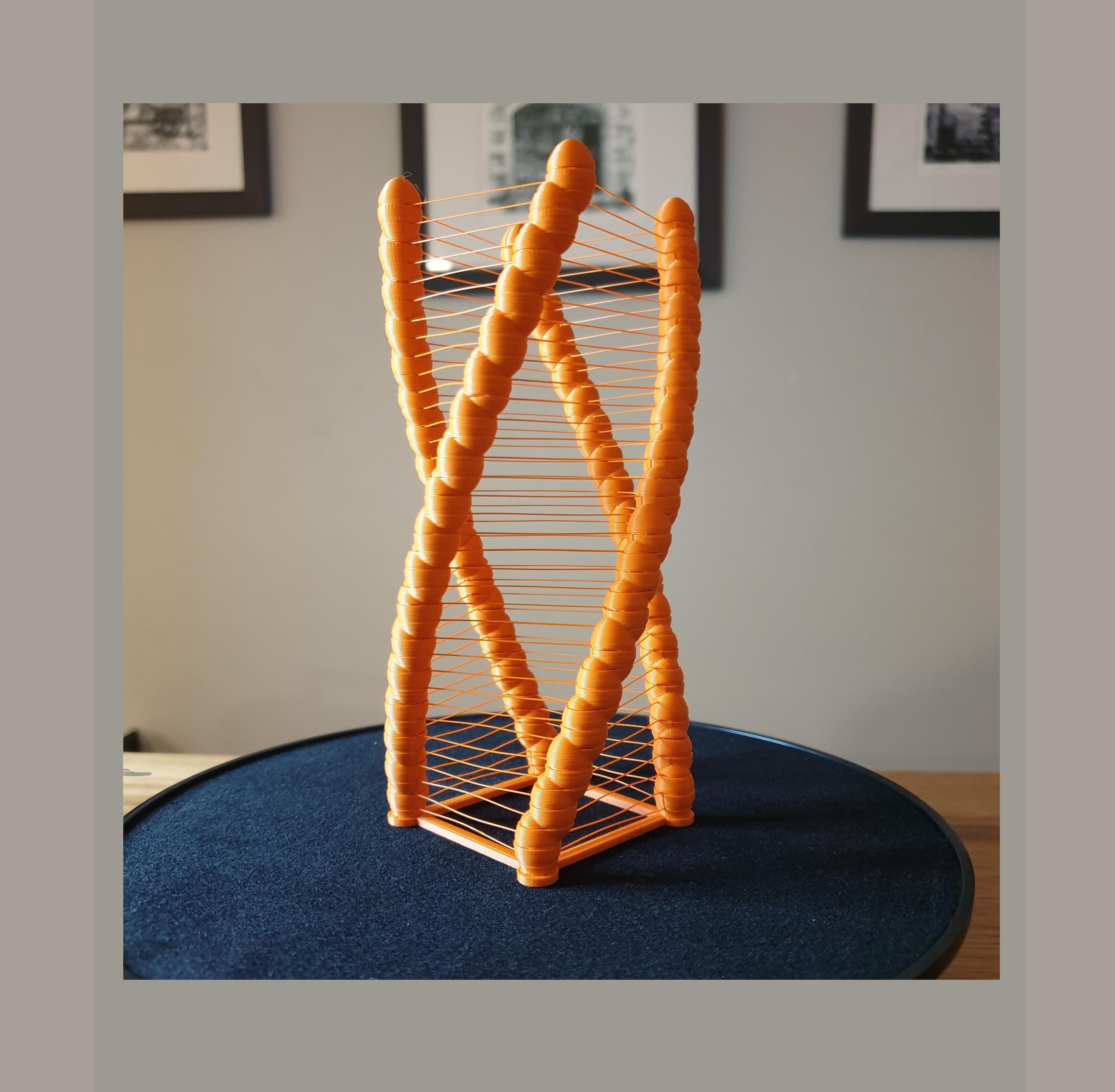 Spiral Ornament 3d model
