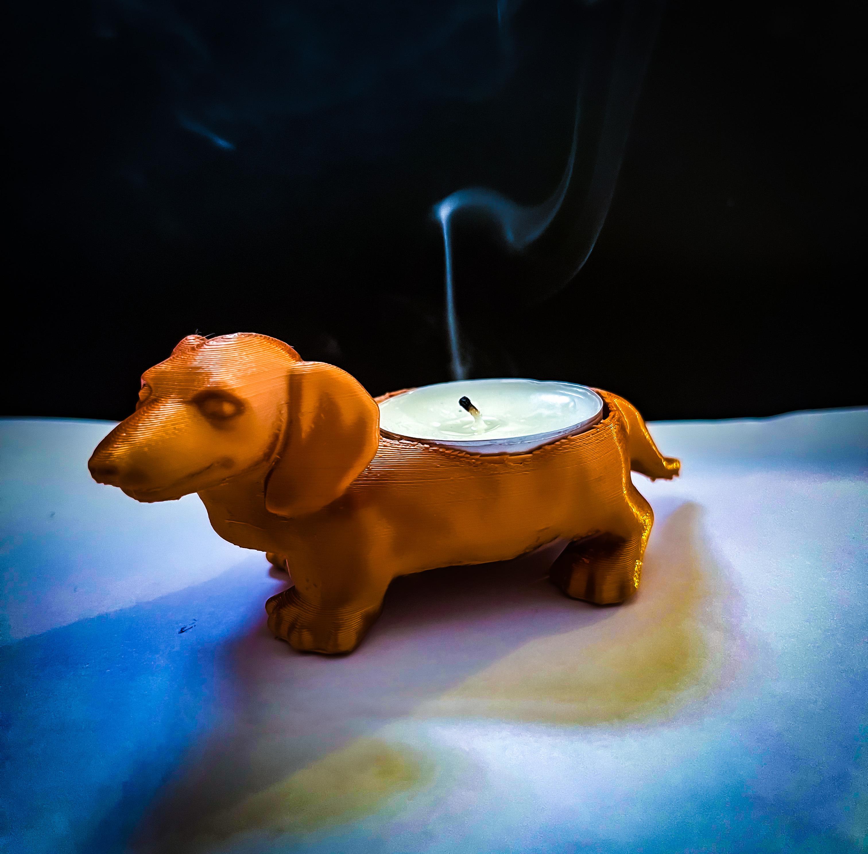 Candle Dog teckel 3d model