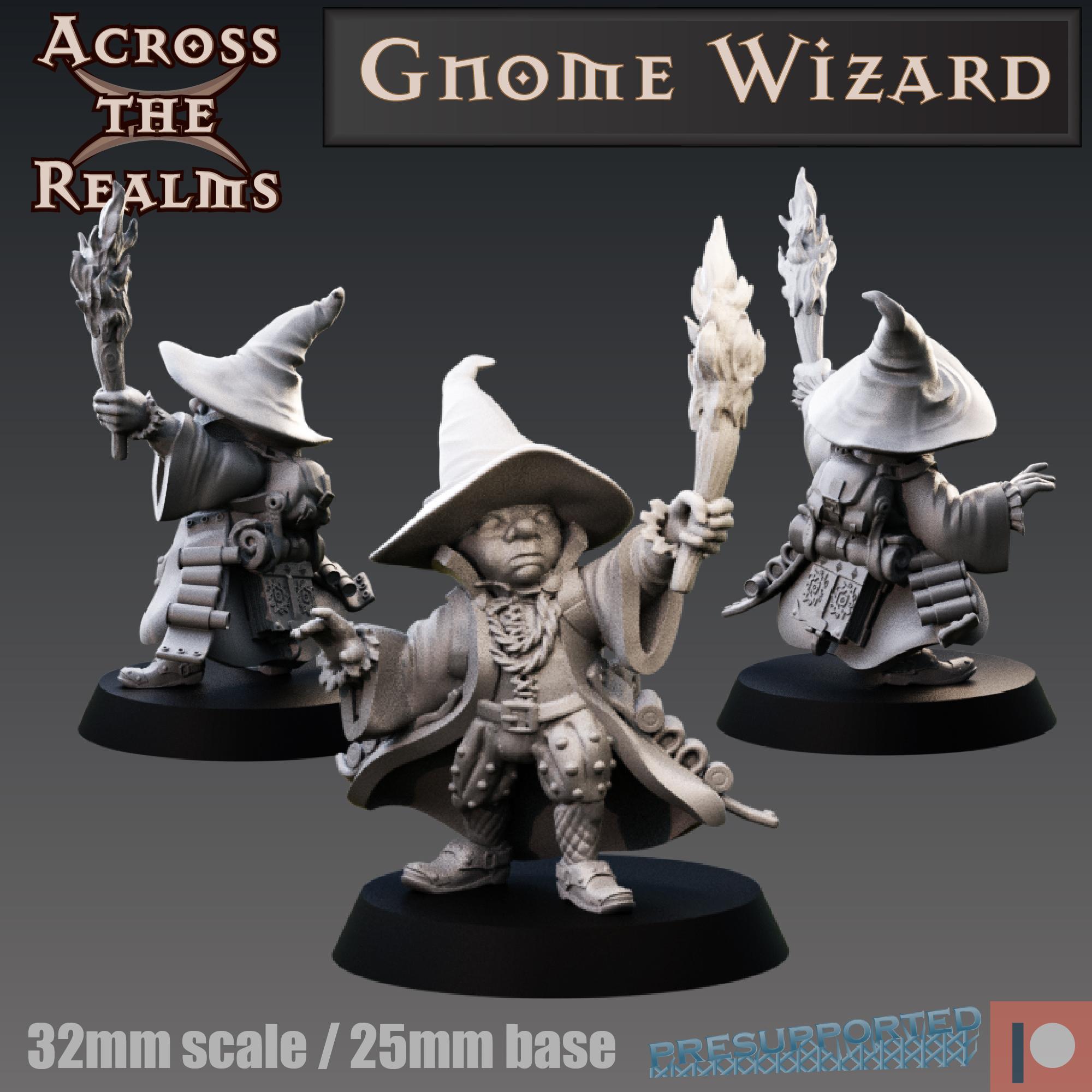 Gnome Wizard 3d model