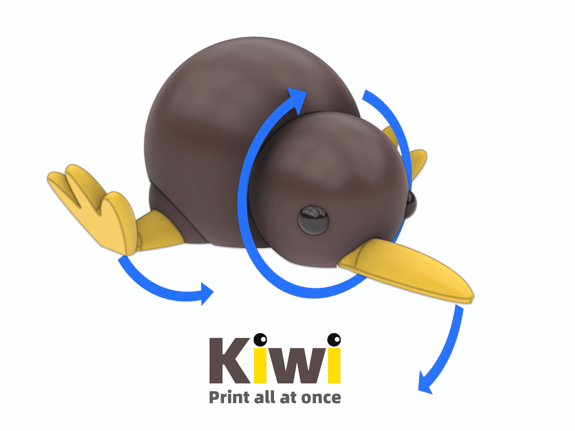 Kiwi 3d model