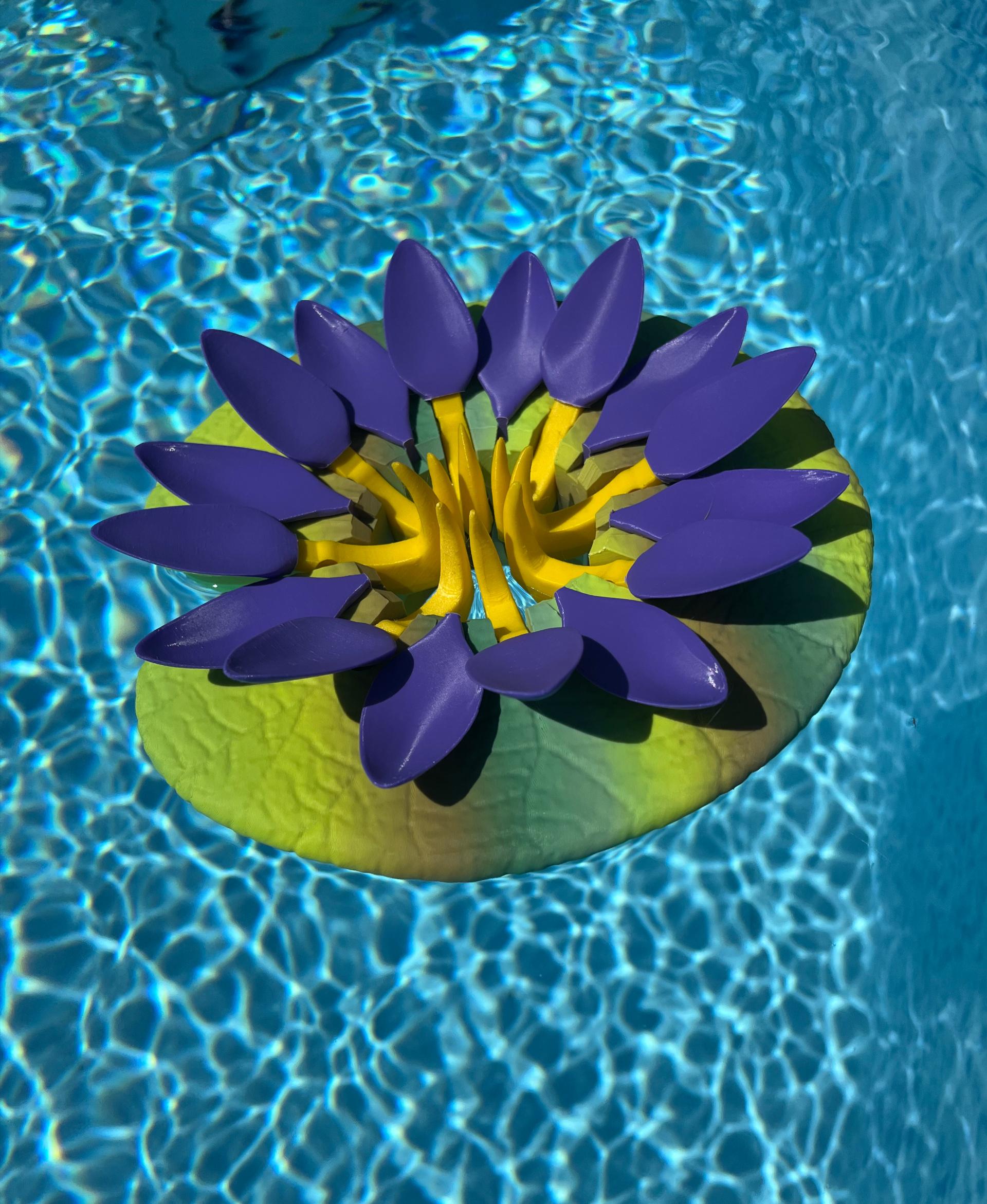 Lily Pad Cupholder - Pool Can Holder with Self Adjusting petals 3d model