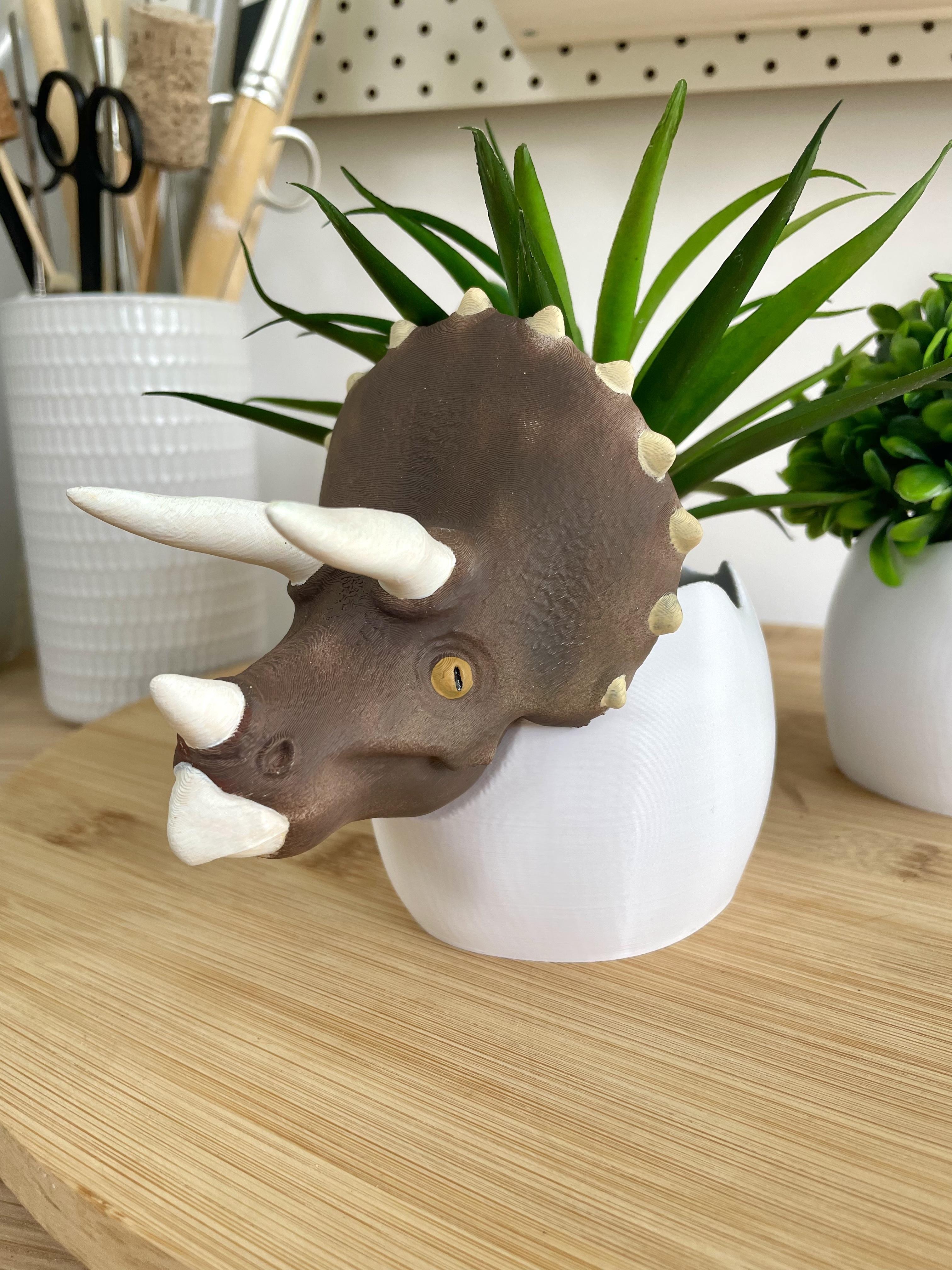 Dinosaur Egg Planters by IK3D 3d model