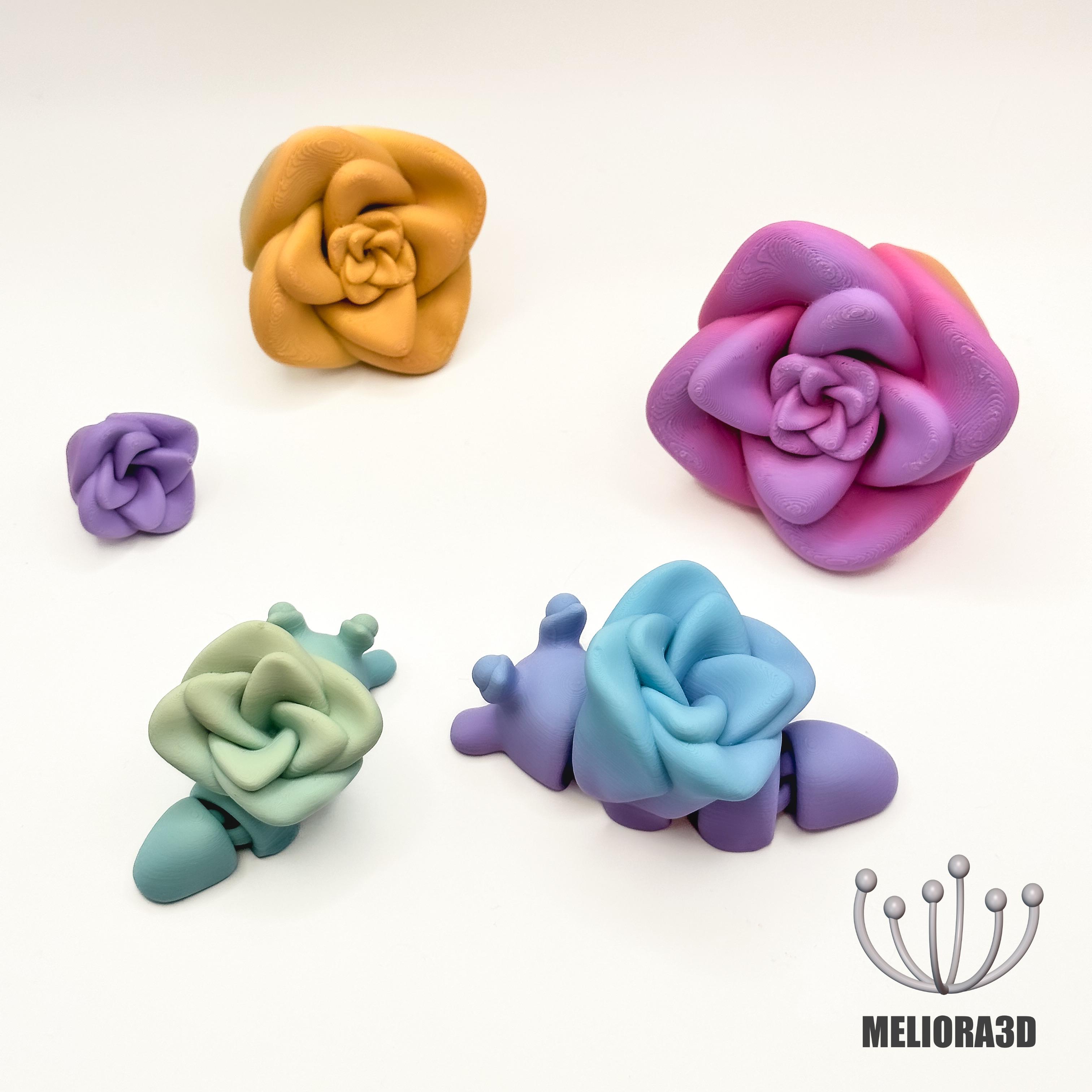 M3D - Baby Rose Snail 3d model
