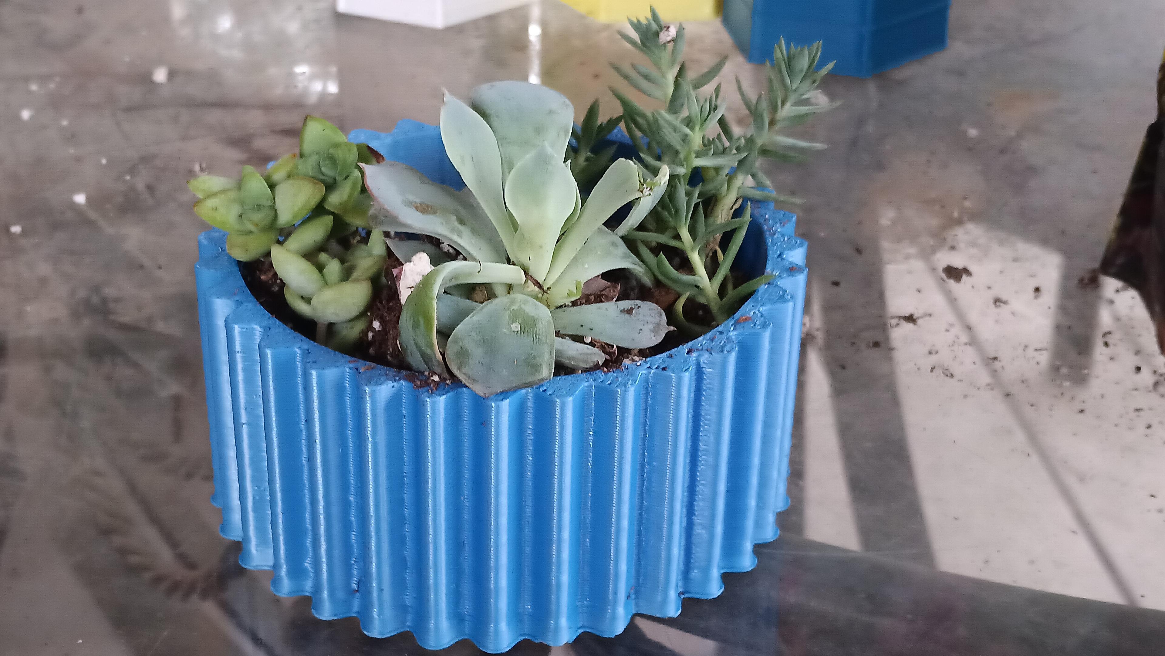 Currogated Succulent Pot  3d model