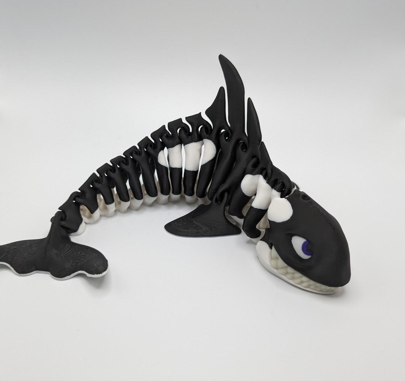 Killer Whale  3d model