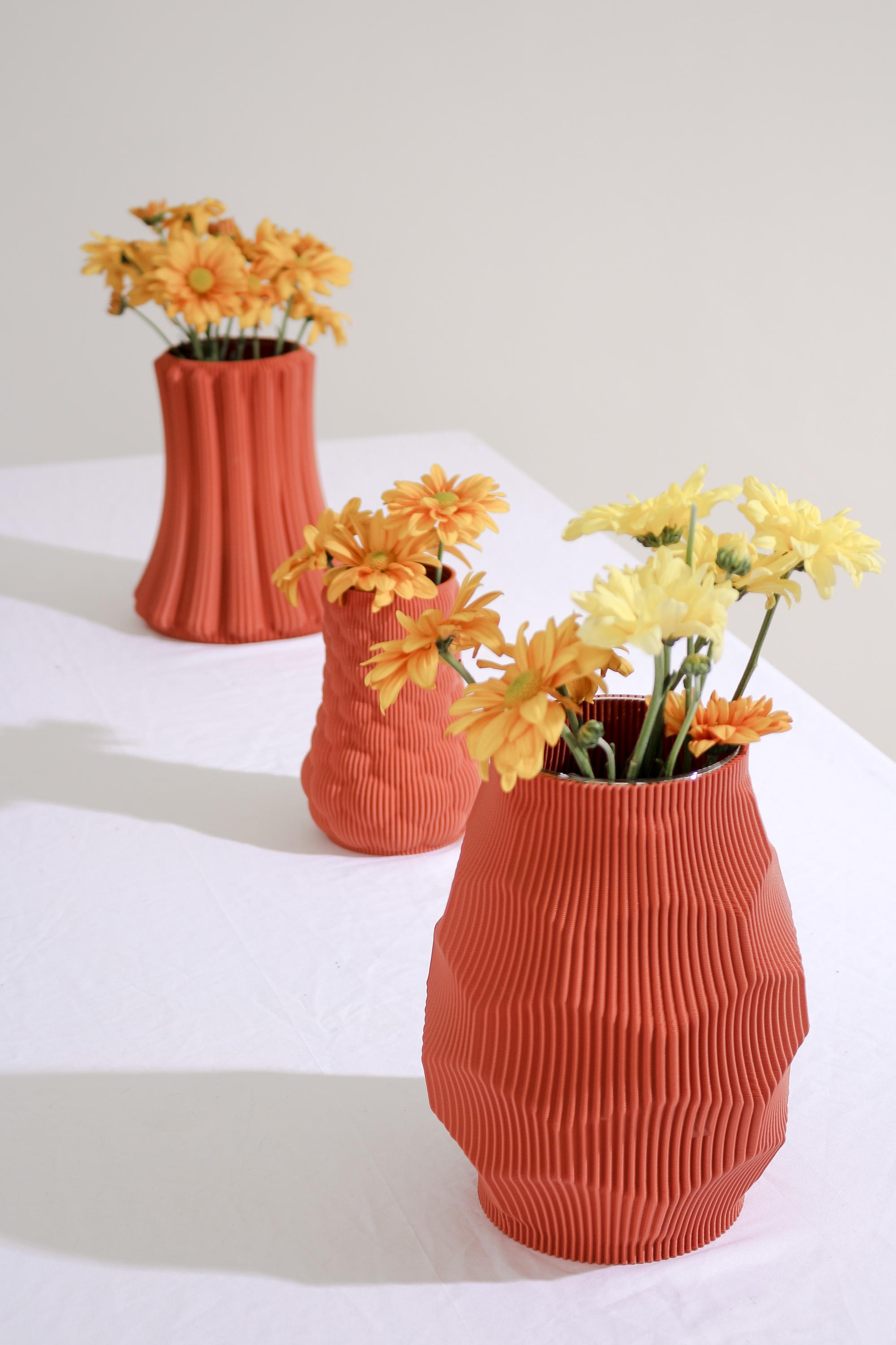 HEXA VASE 3d model