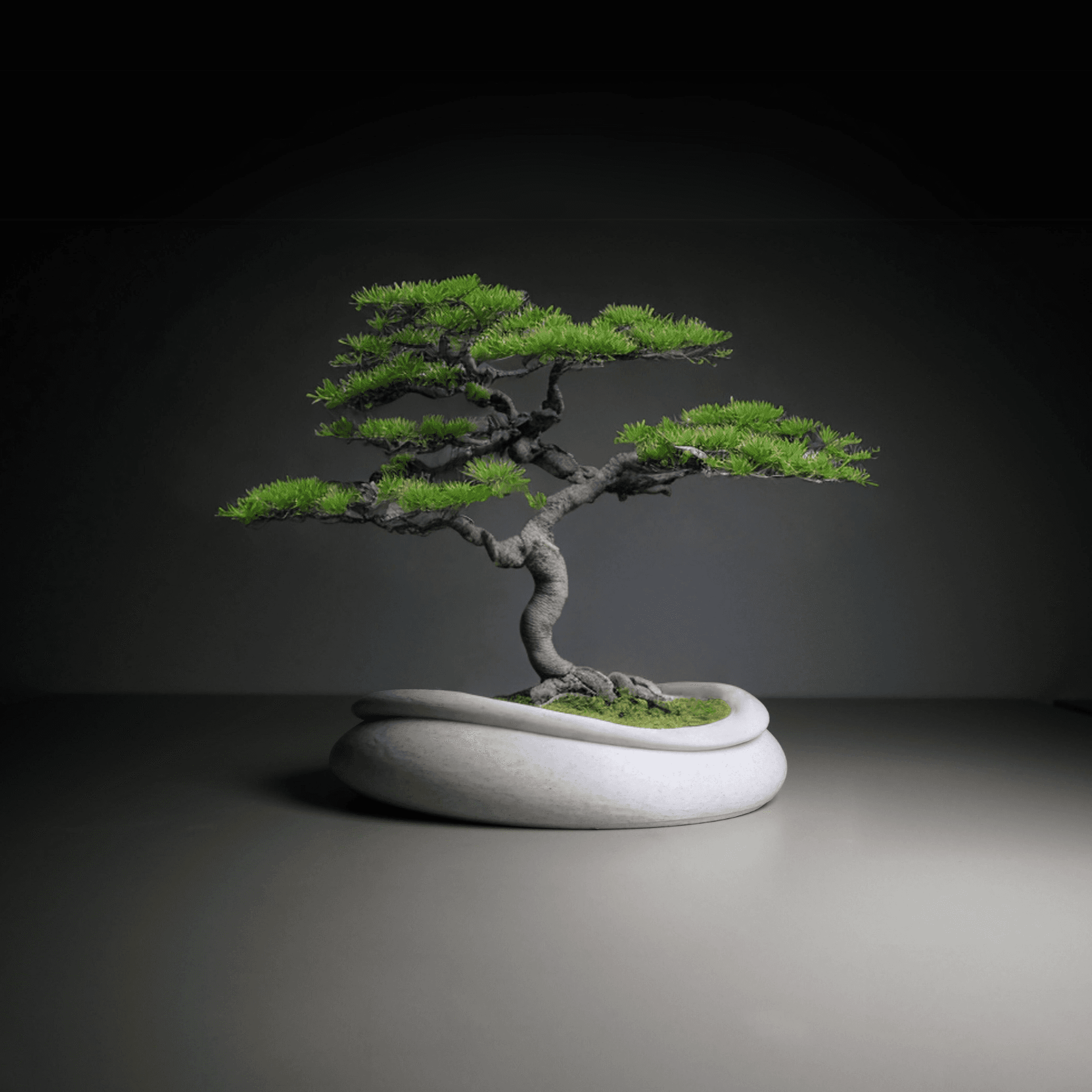 Bonsai Pot 3d model