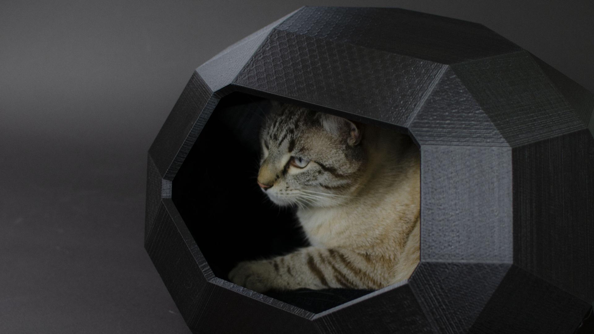 HOUSE FOR CAT MINI TAO LOW POLY - Follow us: linktr.ee/catalpine 3d model