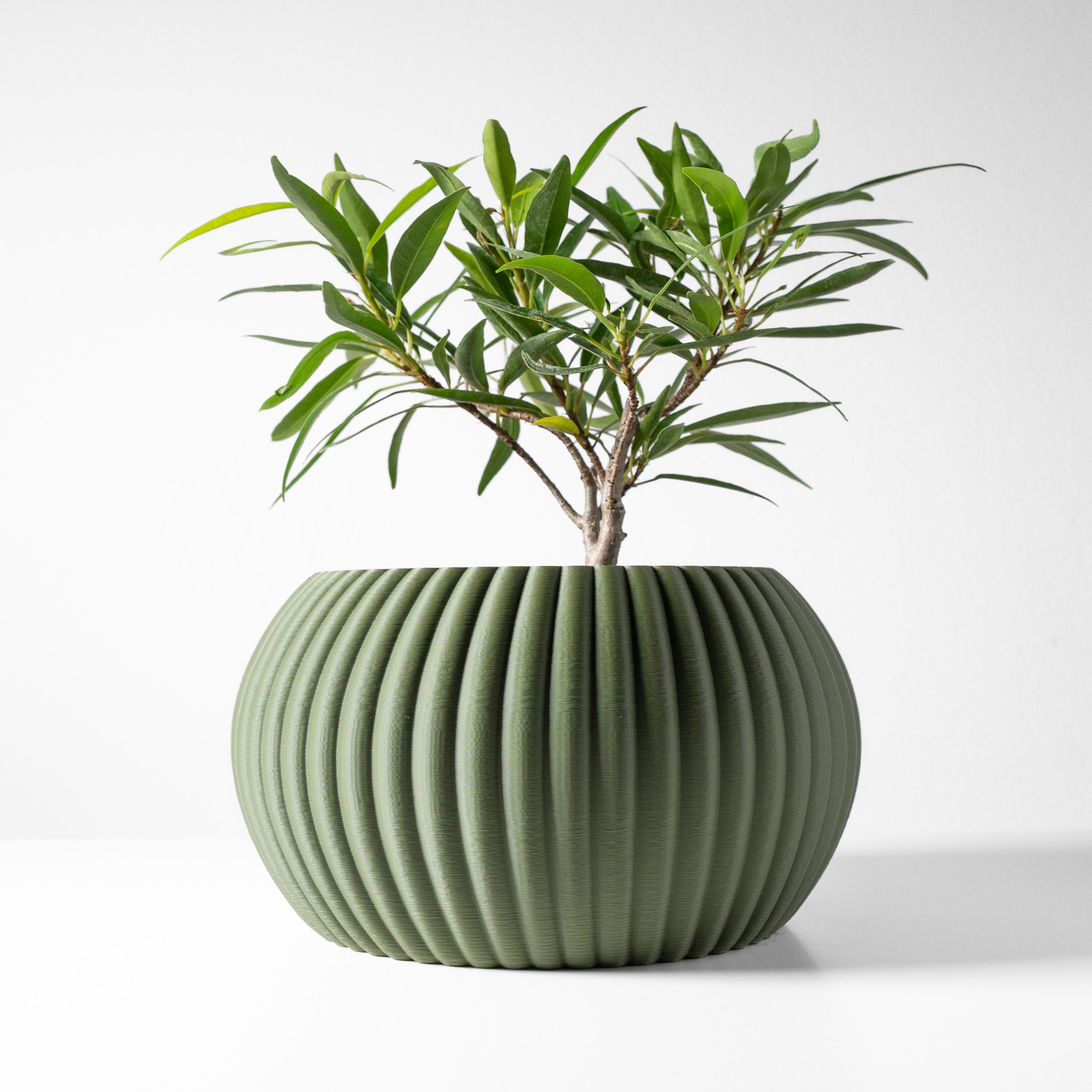 The Roni Planter Pot with Drainage Tray & Stand: Modern and Unique Home Decor for Plants 3d model