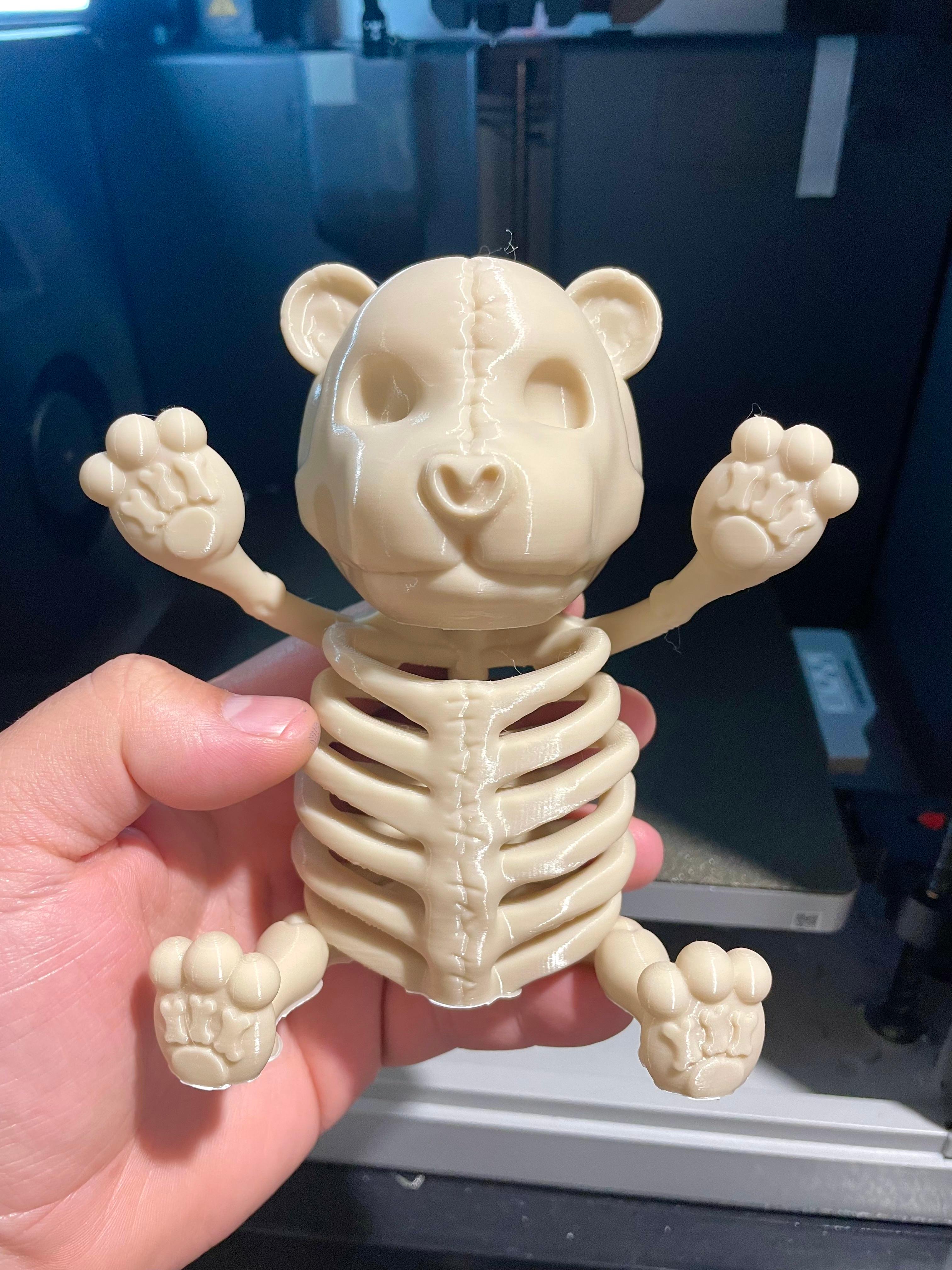 Teddy Bear Skeleton Decor / No Supports 3d model