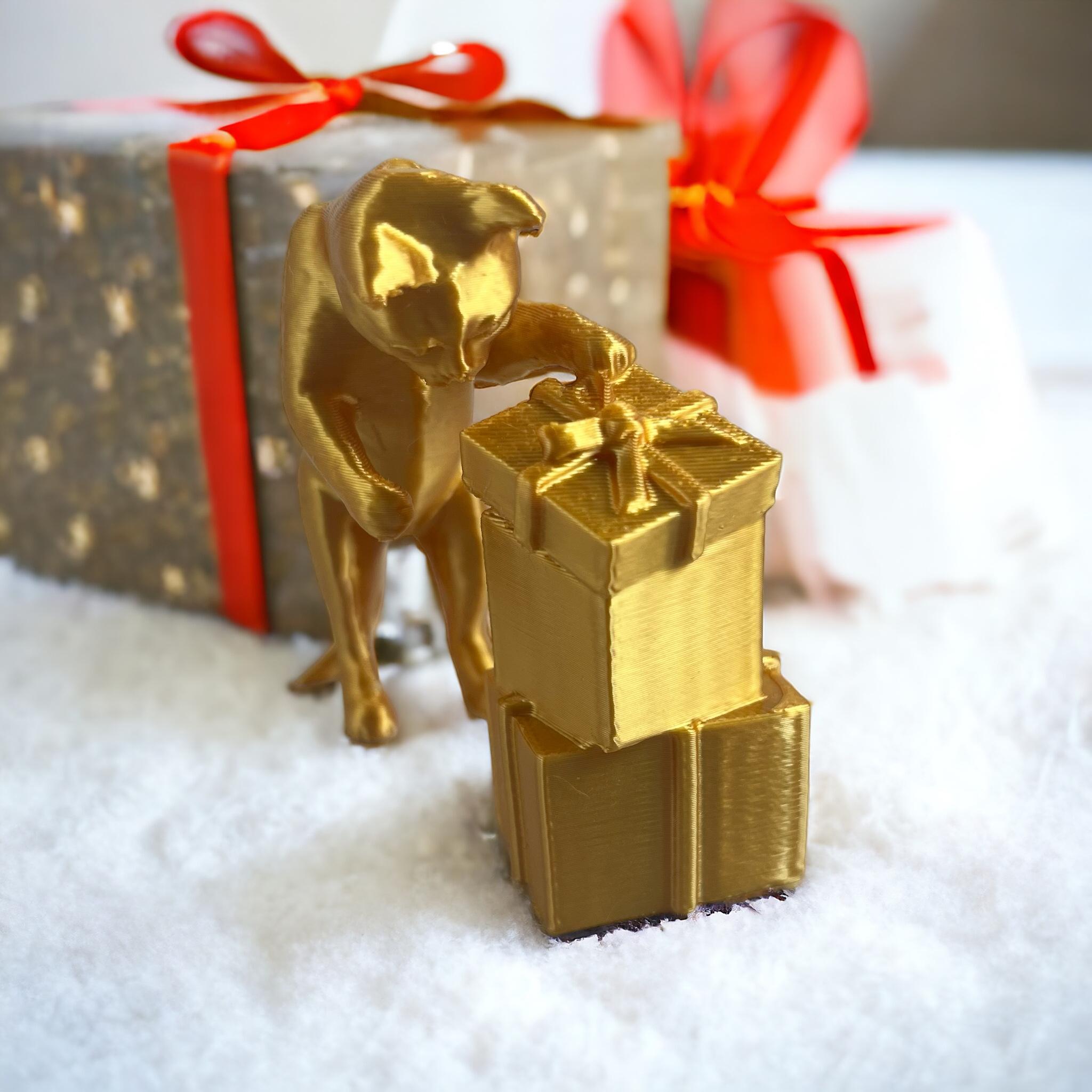 Christmas gift Cat 3d model