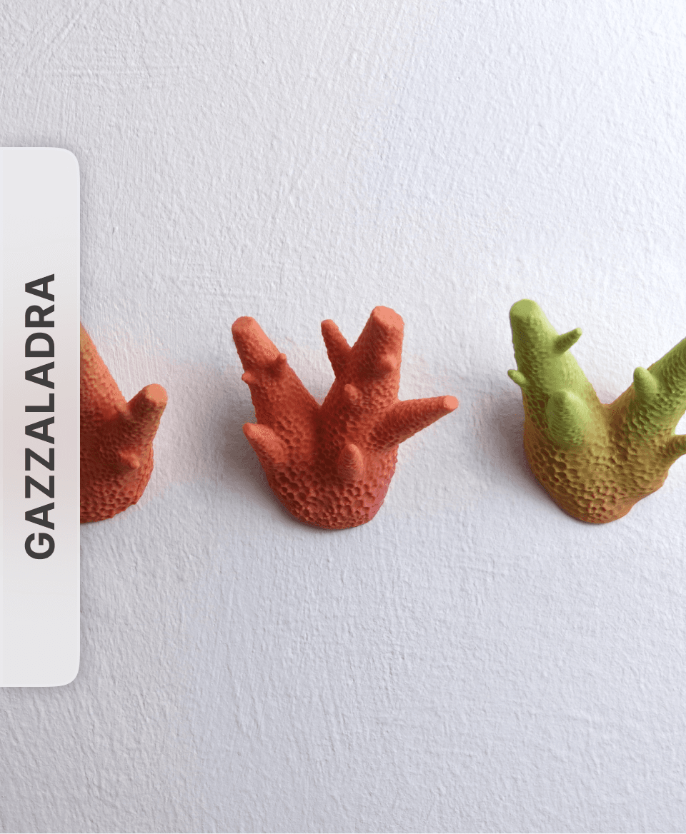 Wall hook "Caliendrum Coral" by gazzaladra 3d model