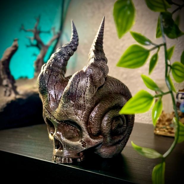 Skull of the demon snail.stl 3d model