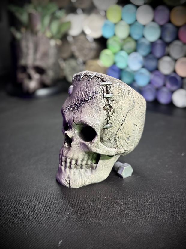 The Skull of Frankenstein 3d model