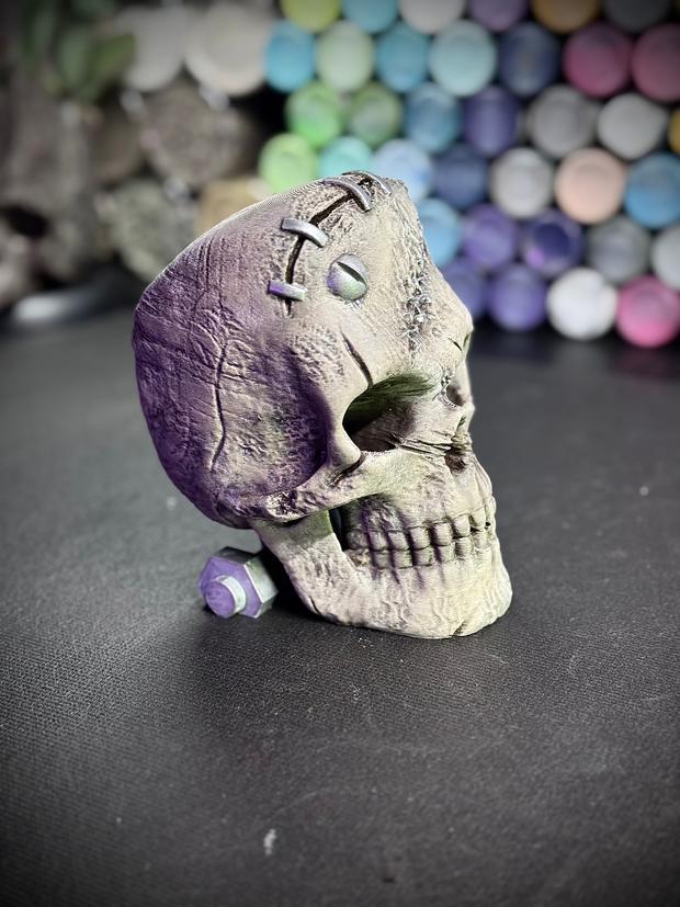 The Skull of Frankenstein 3d model