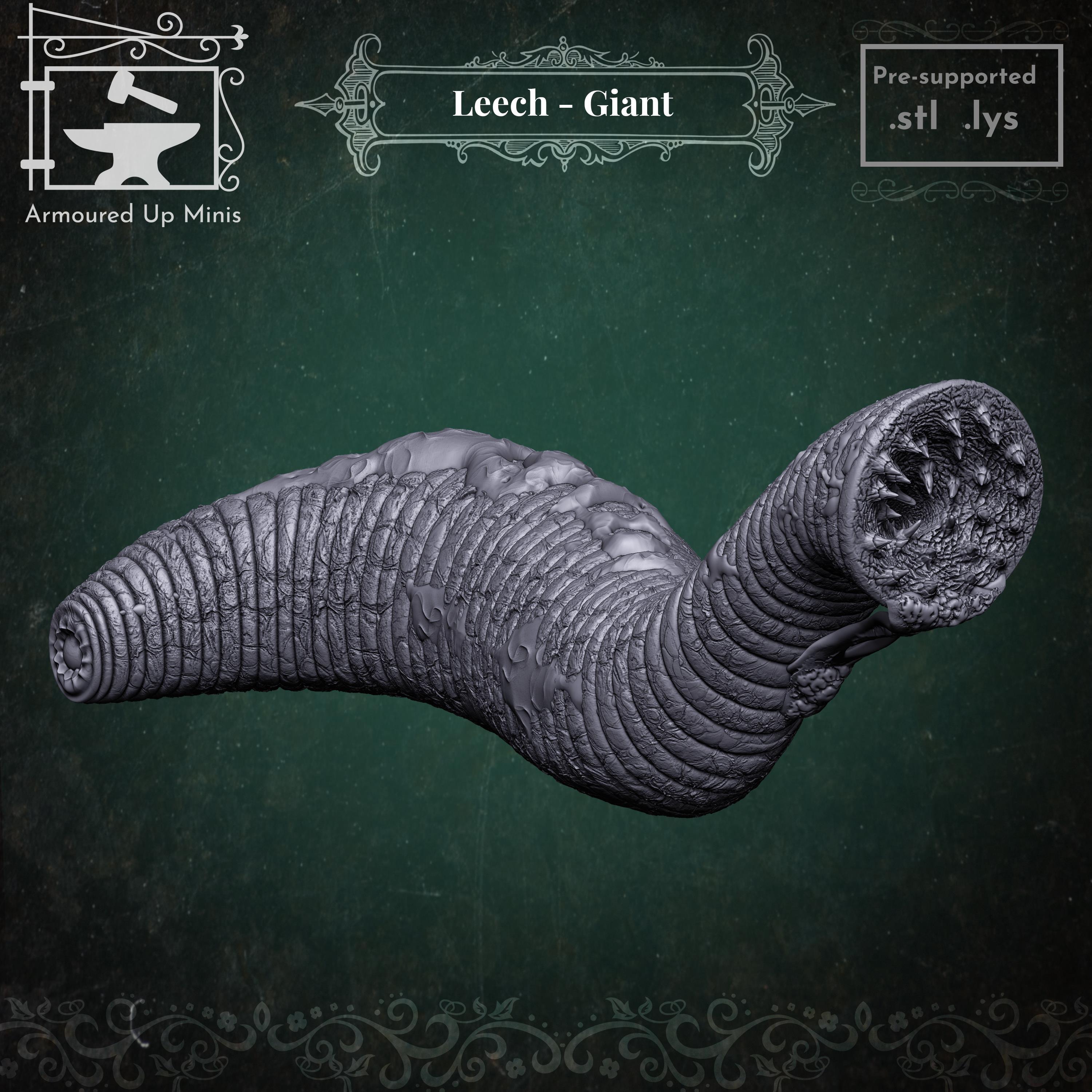 Leech - Giant 3d model