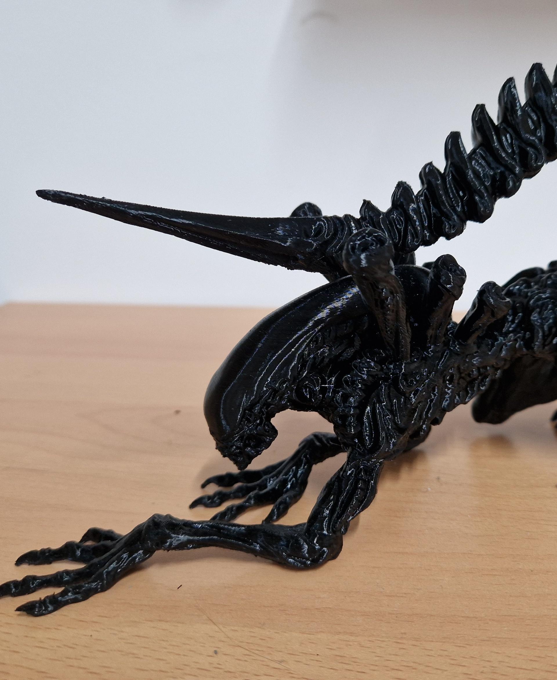 Alien  - Setup: BL P1S using black eSUN PETG, with a 0.16mm layer, sliced in BambuStudio with added organic supports. Print took 15hrs, and used 129g

After many hours tweaking a Benchy for this filament, I was happy enough to print this amazing model!

The supports were a pain to remove, but that was caused by the layer adhesion properties of PETG. I wanted to use this material to give strength and a shiny finish.

The model is great, even if the STL file shows alot of surface tessellation. It didn't show on the final print.

If anyone is interested in the filament and process configs, let me know. - 3d model