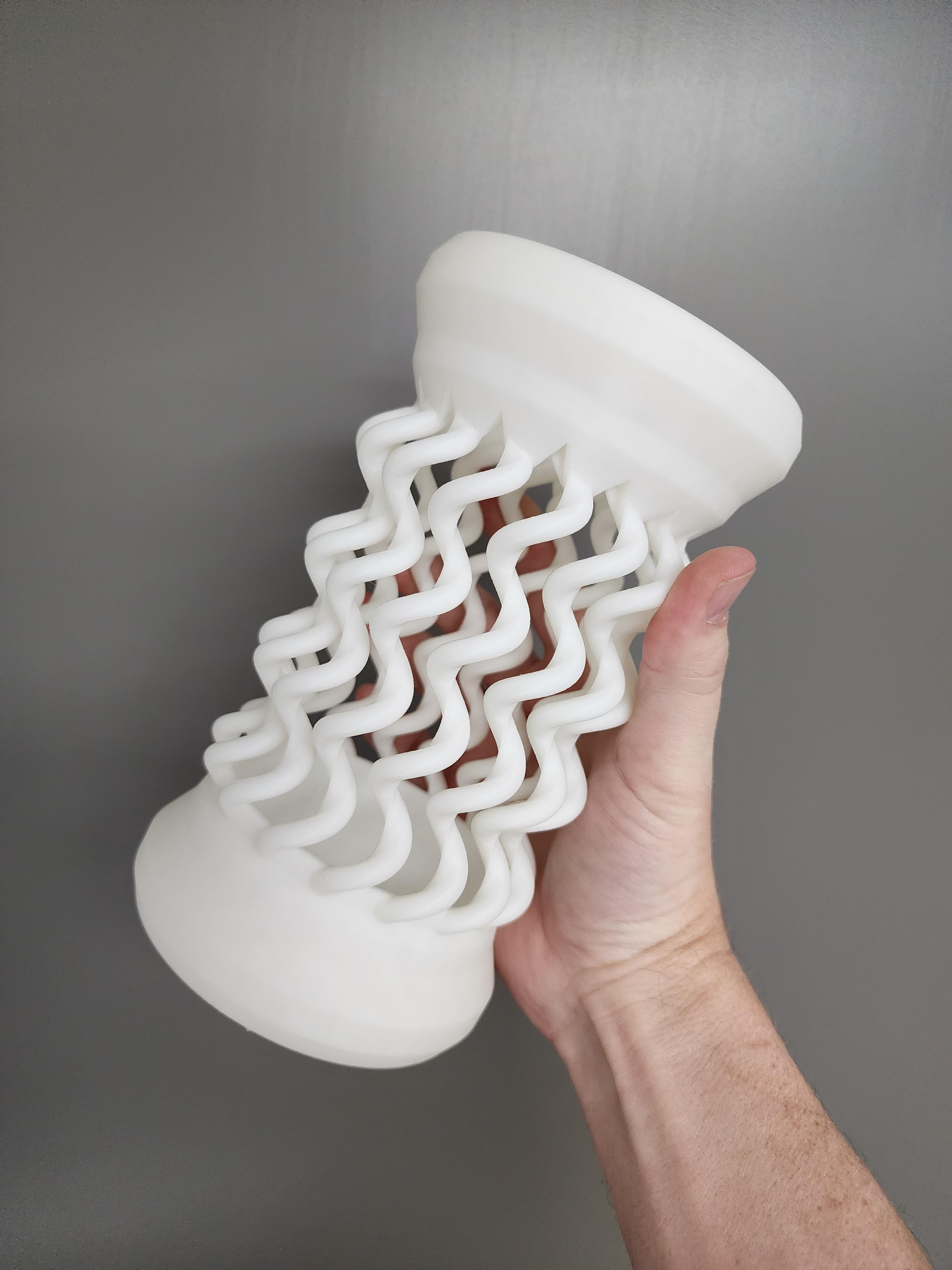 Spinal Vase 3d model