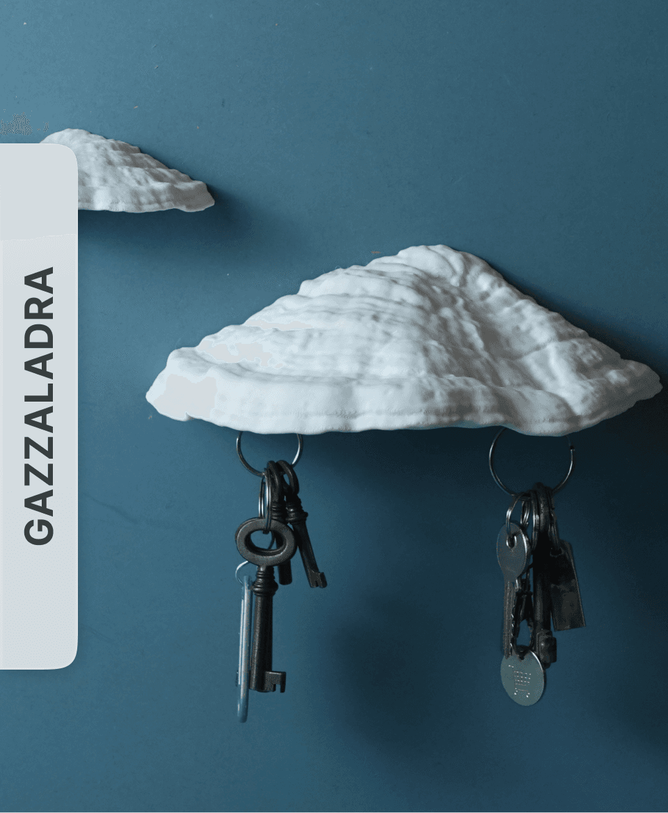 Key holder "Carnosum Fungus" by gazzaladra 3d model