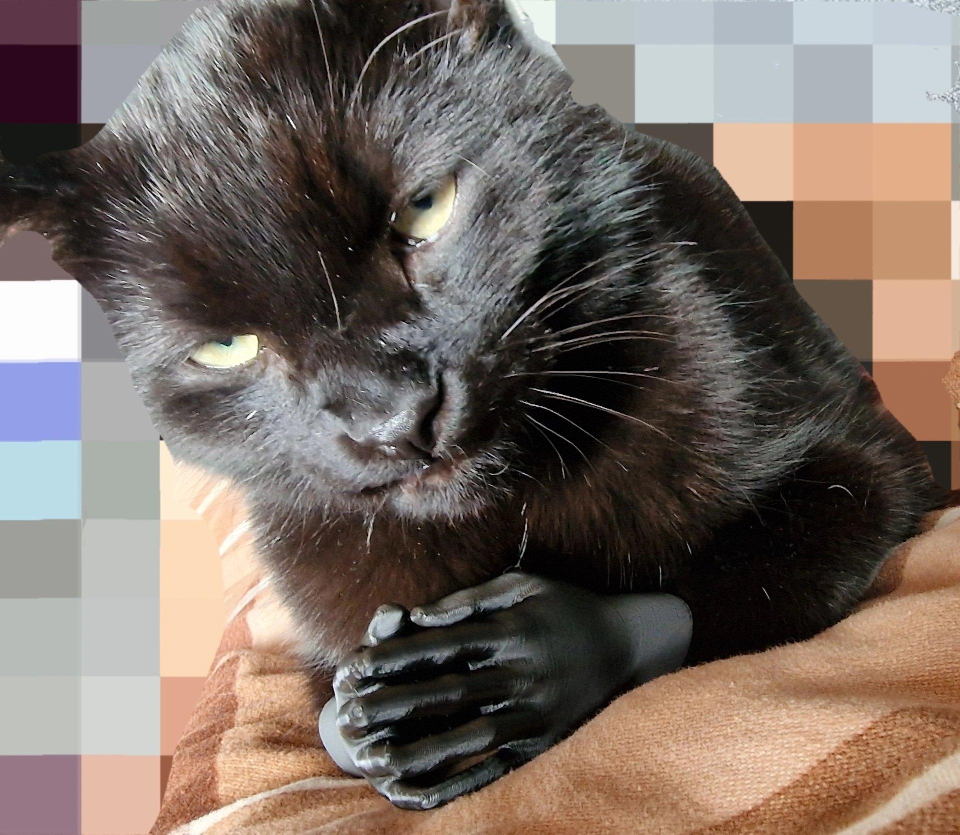 Sinister Cat Hands 3d model