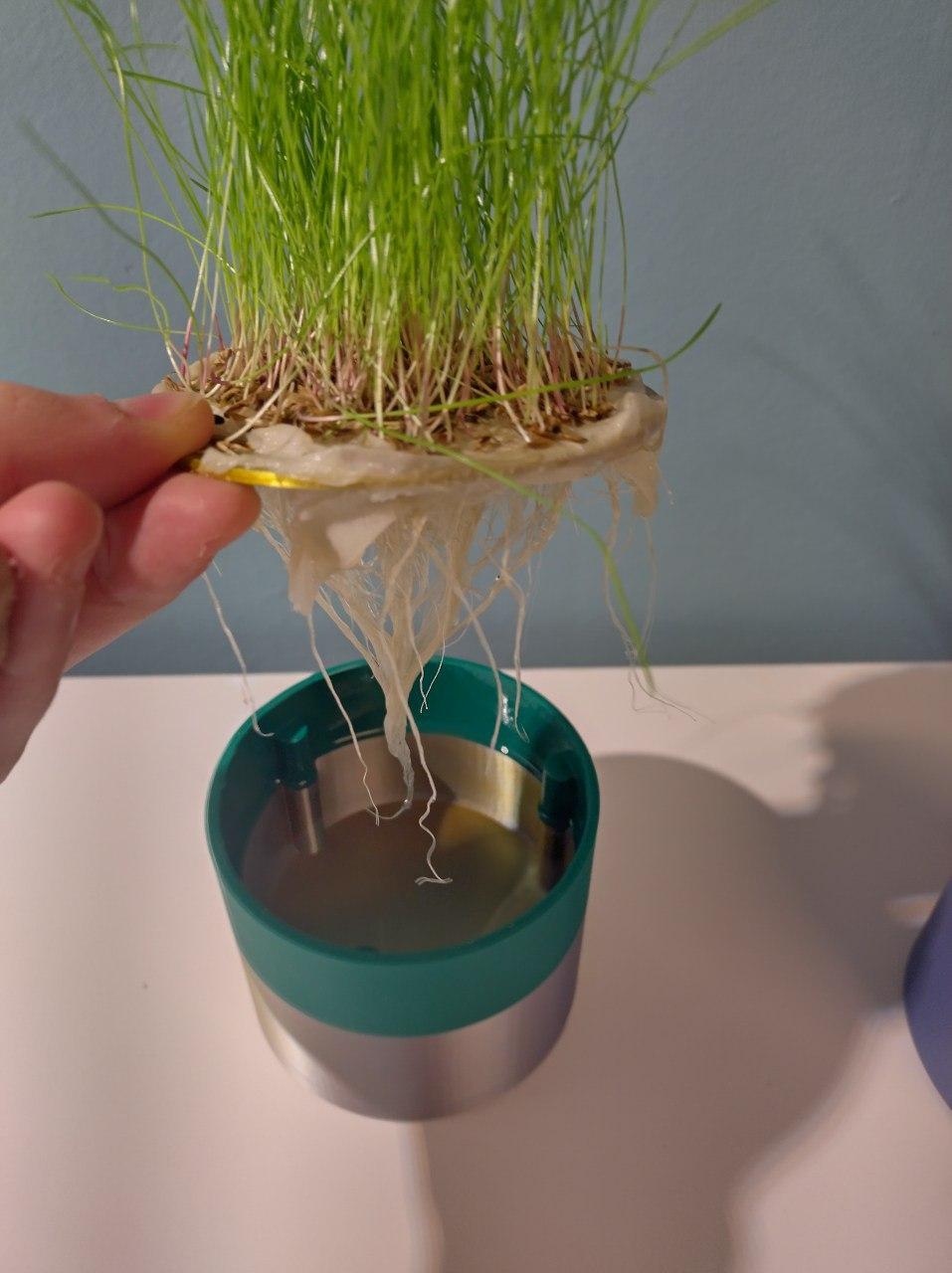 cat grass planter 3d model