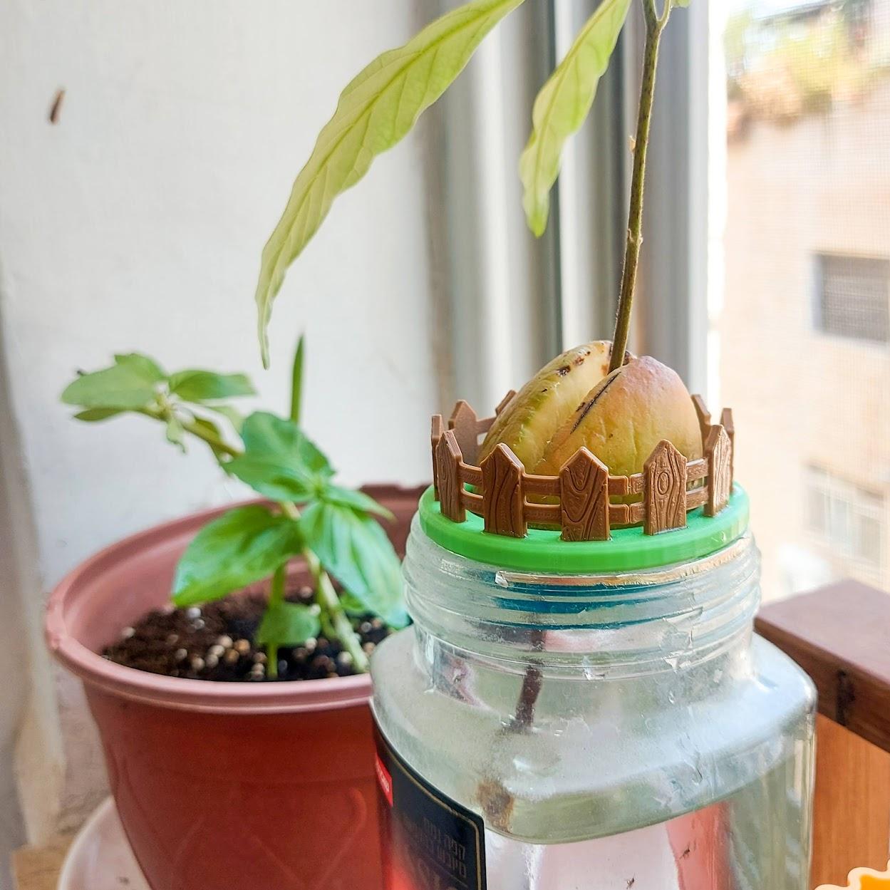 Mini Avocado Garden 3d model