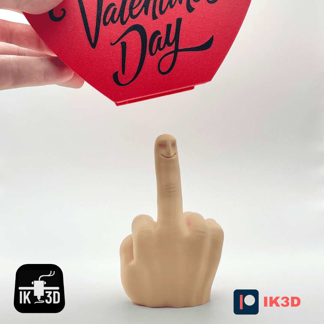 Mr Nice Guy Heart Gift Box / Hidden Middle Finger / Personalizable / Valentines Day 3d model