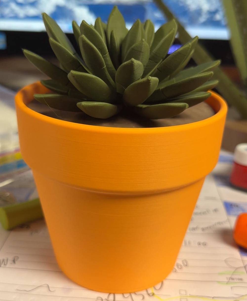 Push Pin Succulent - Amazing. - 3d model