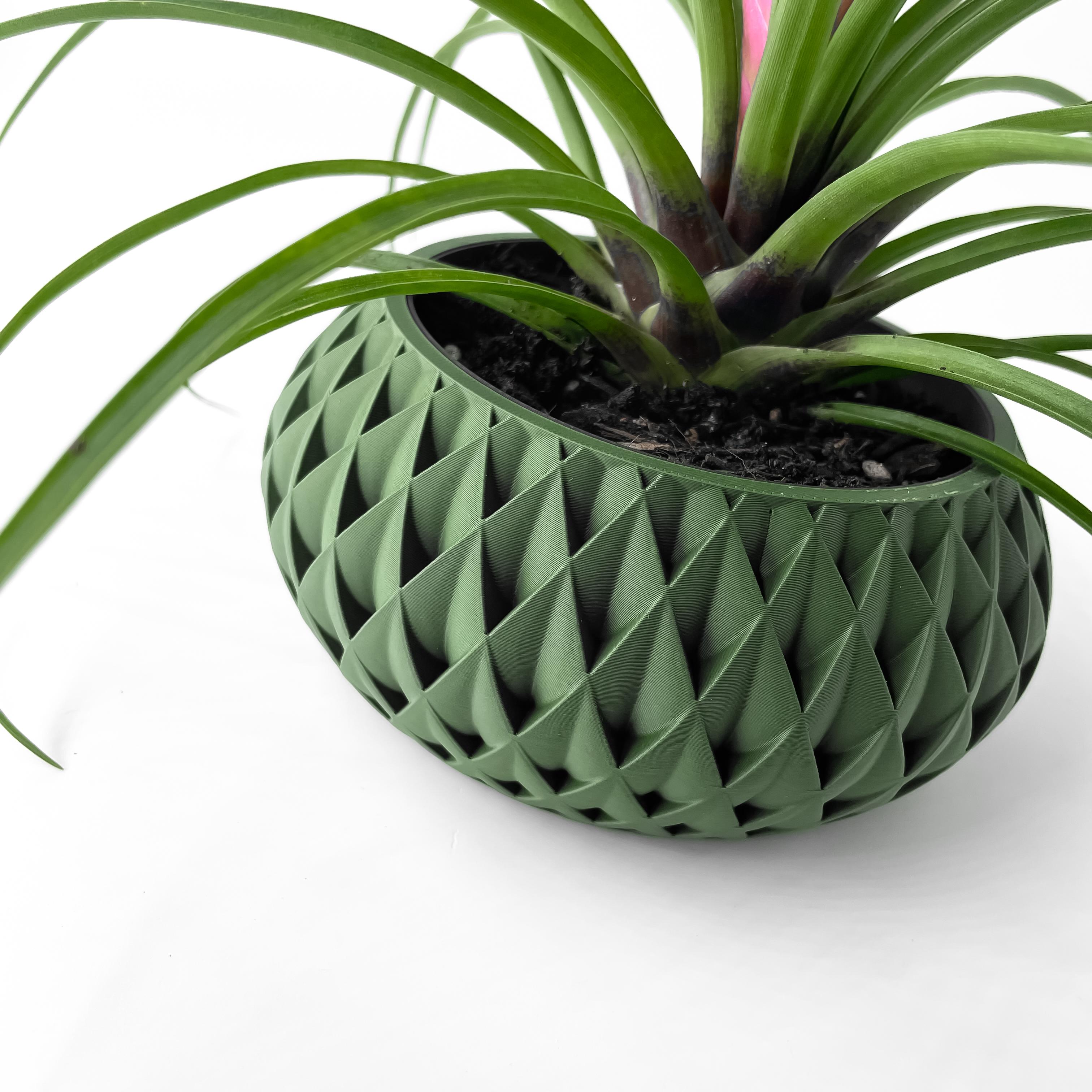 The Cinor Planter Pot with Drainage Tray & Stand Included | Modern and Unique Home Decor 3d model