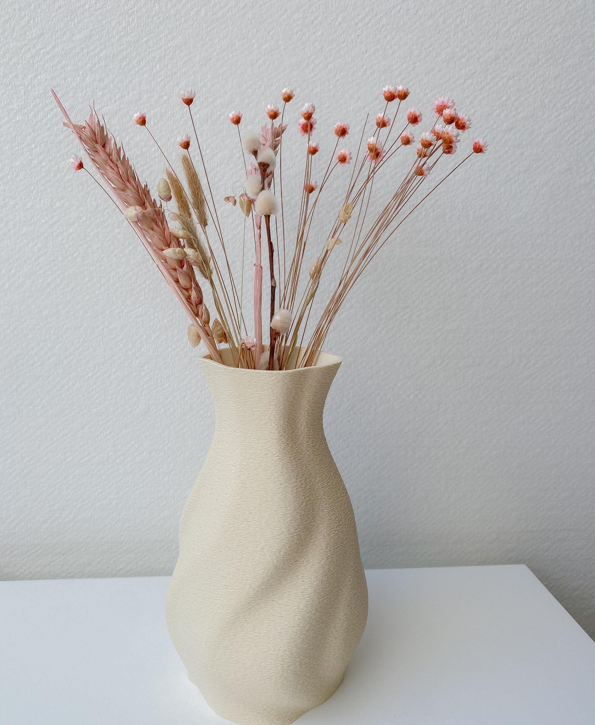 Vase 6.9 - Beautiful vase!
Fillamentum filament. - 3d model