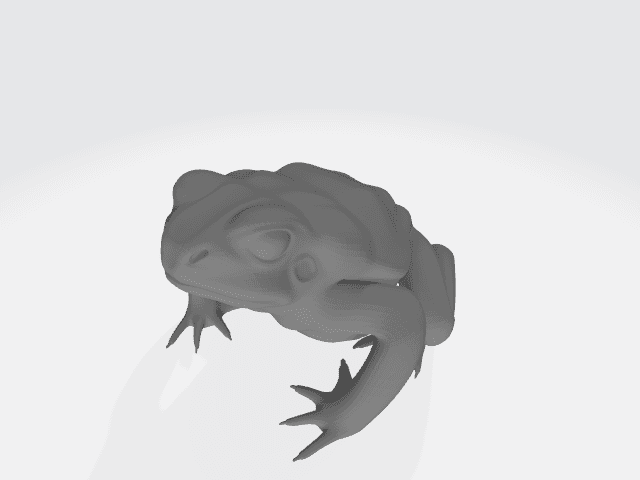 frog.stl 3d model