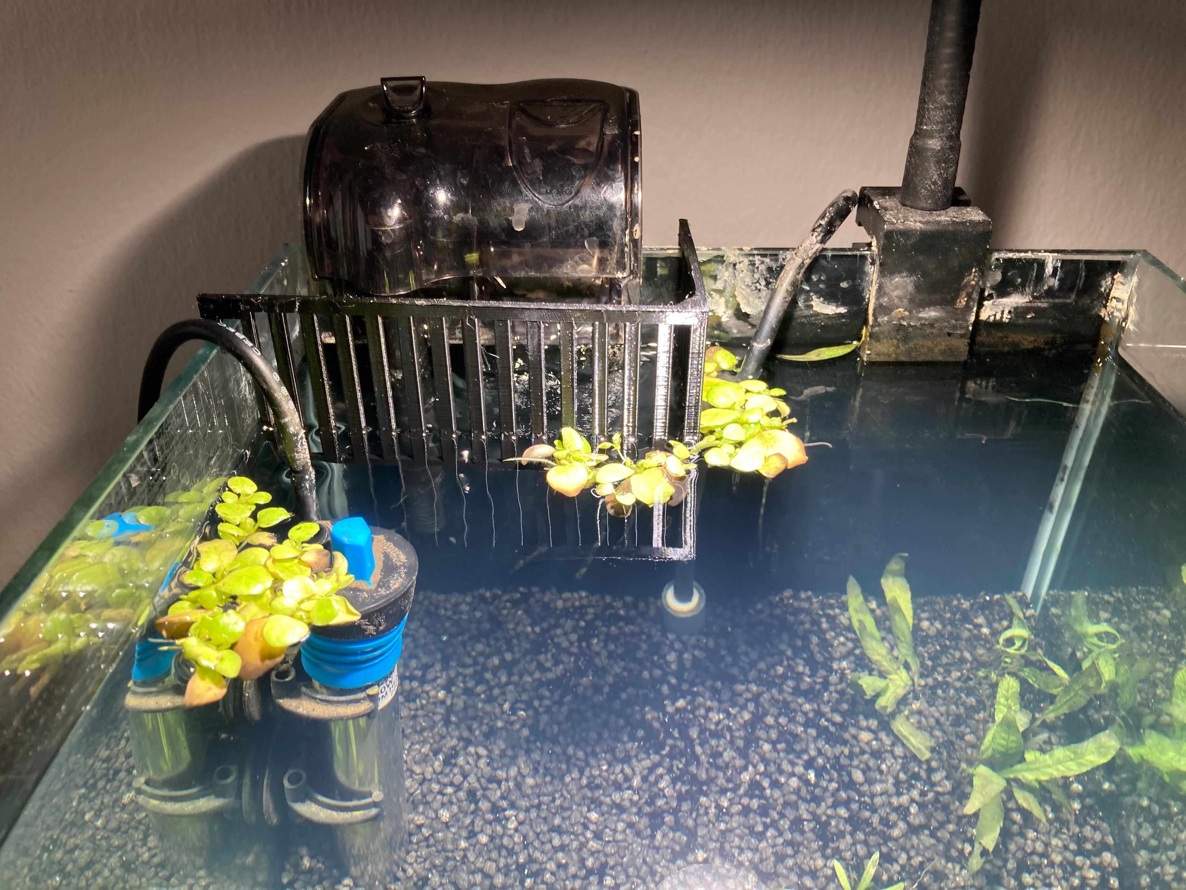 aquarium hob floating plant guard 3d model