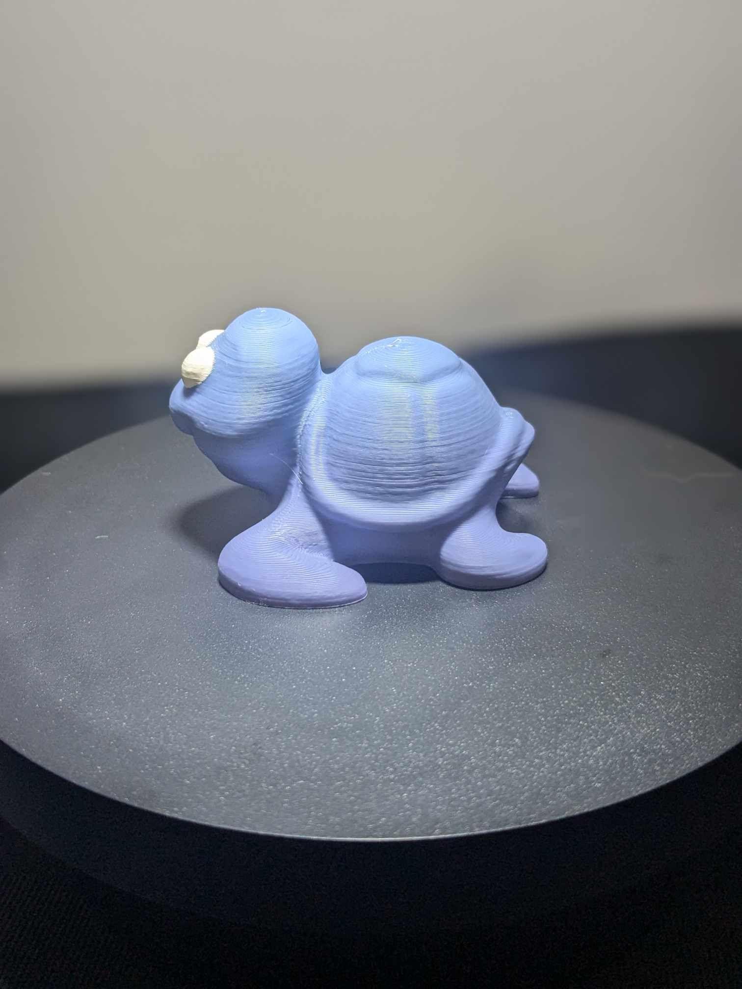 Timmy The Turtle 3d model