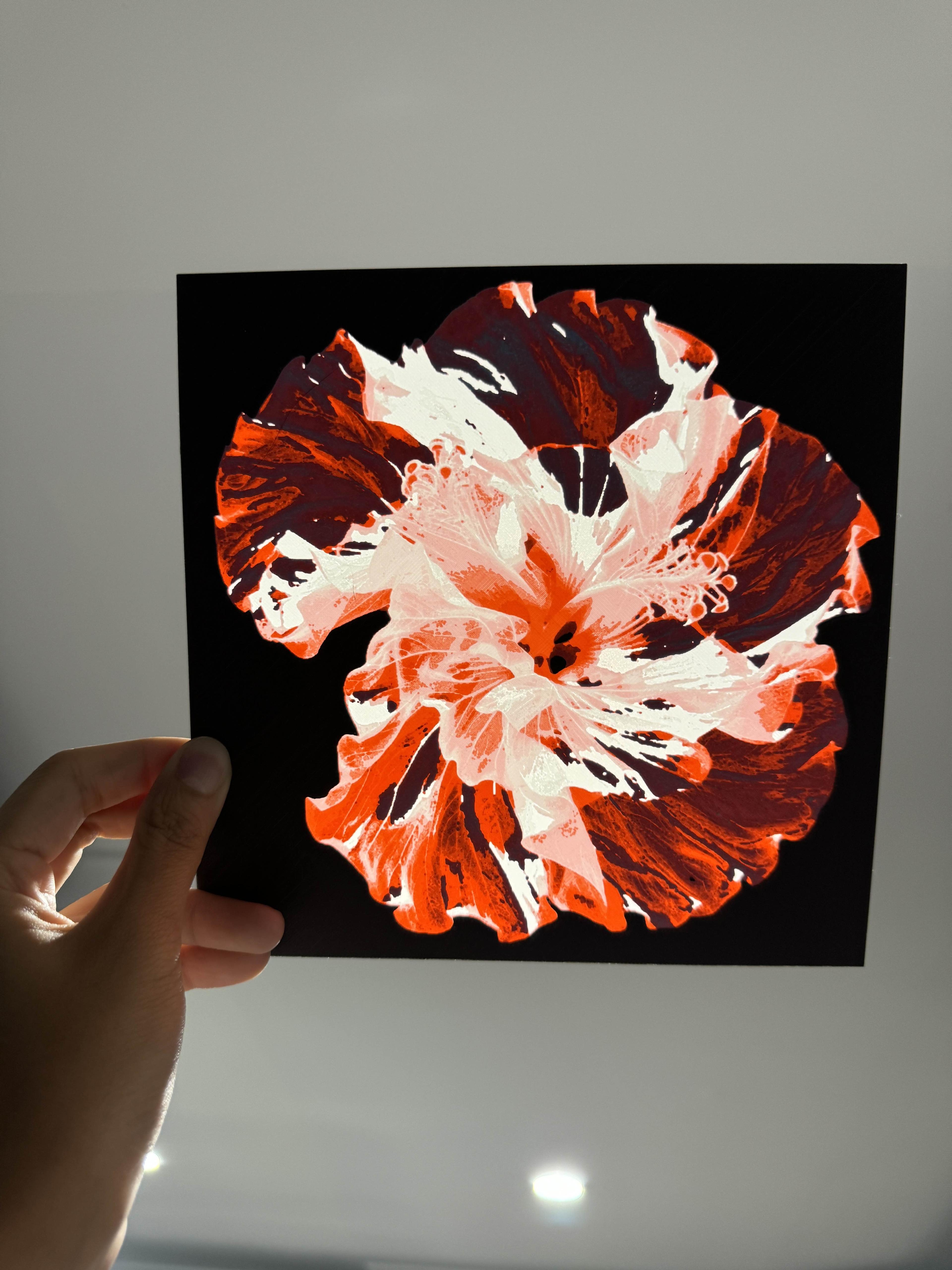 X-Ray Hibiscus - Dual Lithophane HueForge Print 3d model