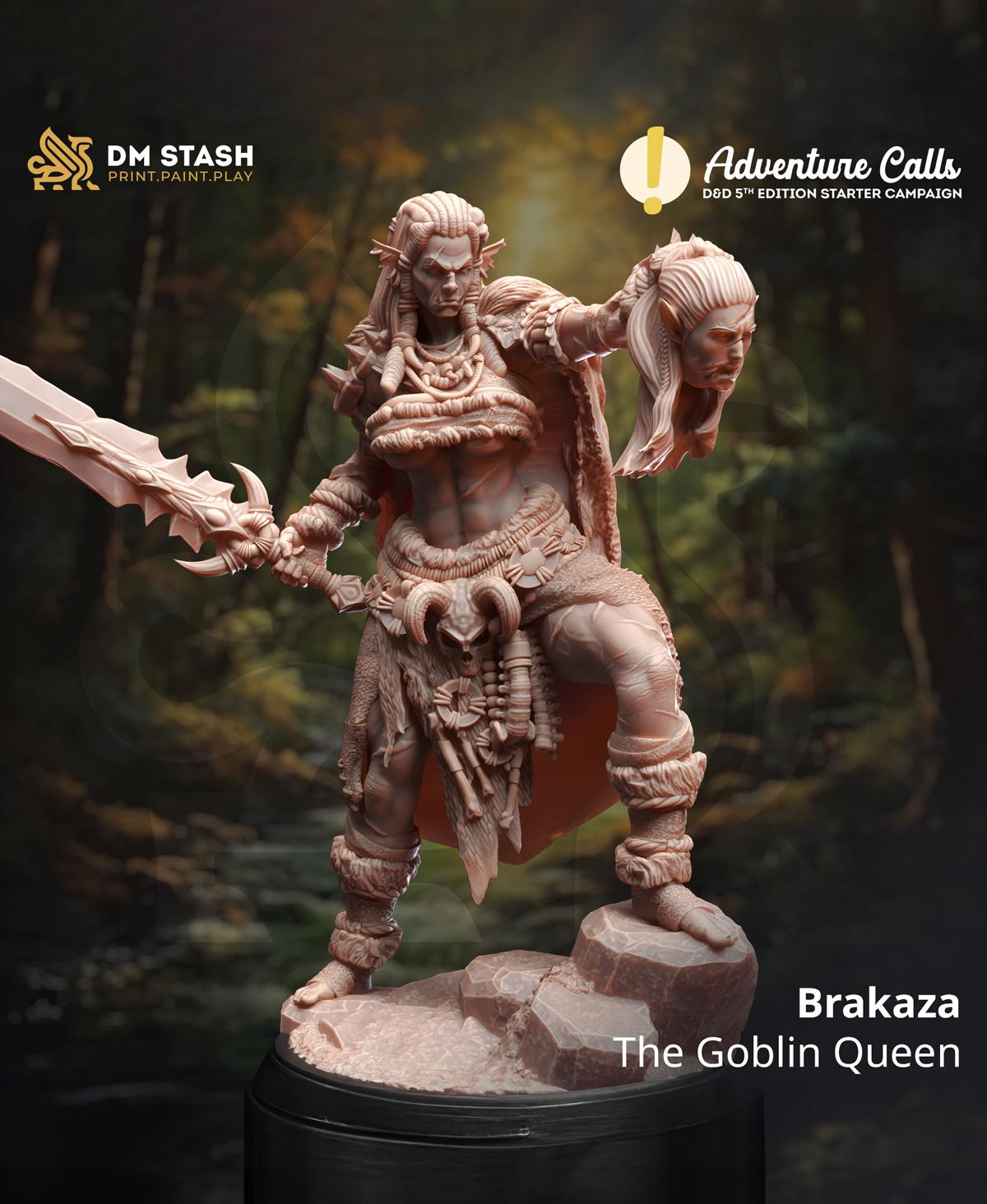 Brakaza 3d model