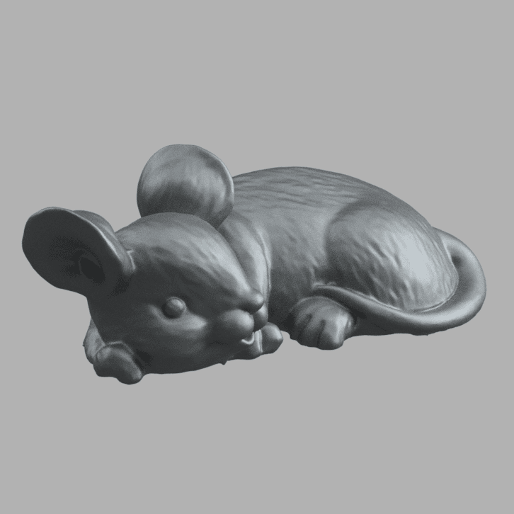 Mouse 3d model