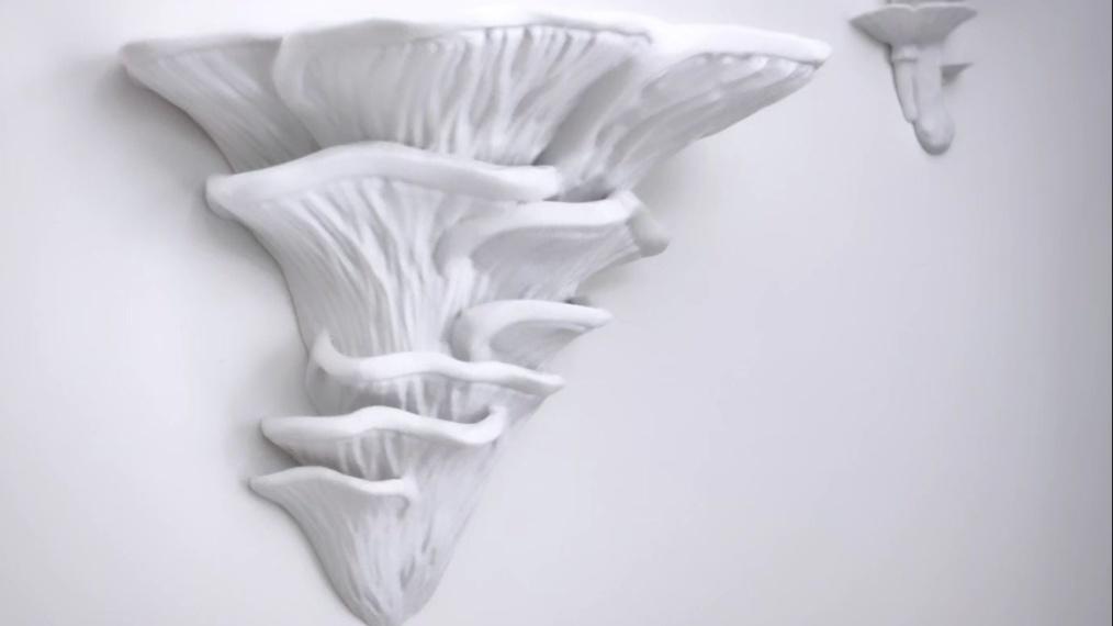 Wall shelf “Djamor Fungus” - printed in white PLA  - 3d model