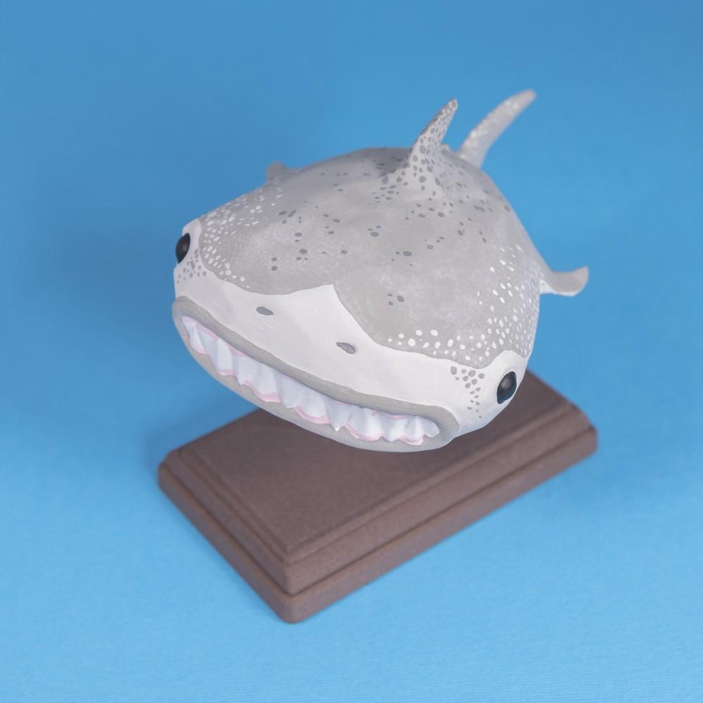 Great Wide Shark // Rejected Animals 3d model