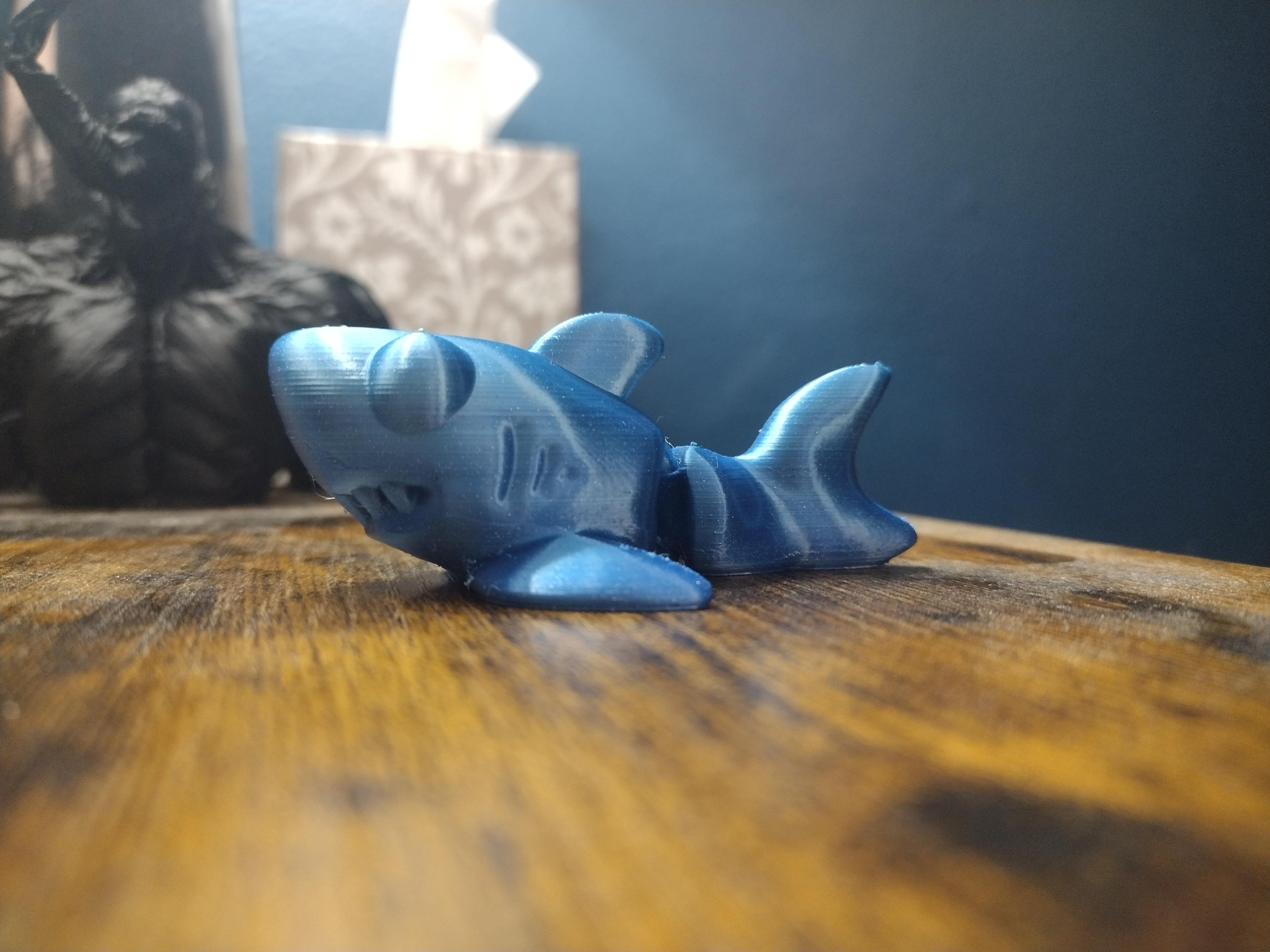 Cute Flexi Shark 3d model